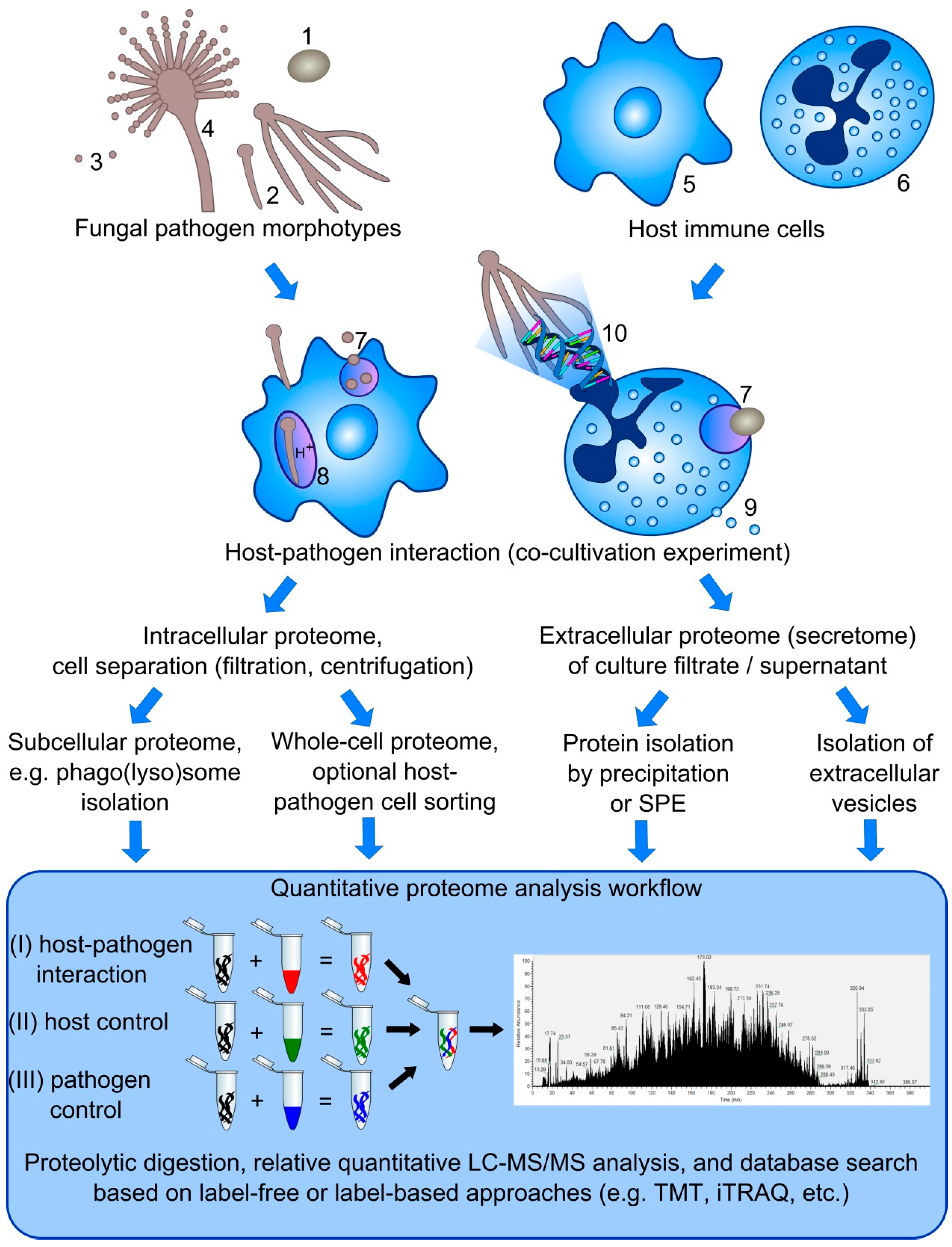 Proteomes 03 00467 g001