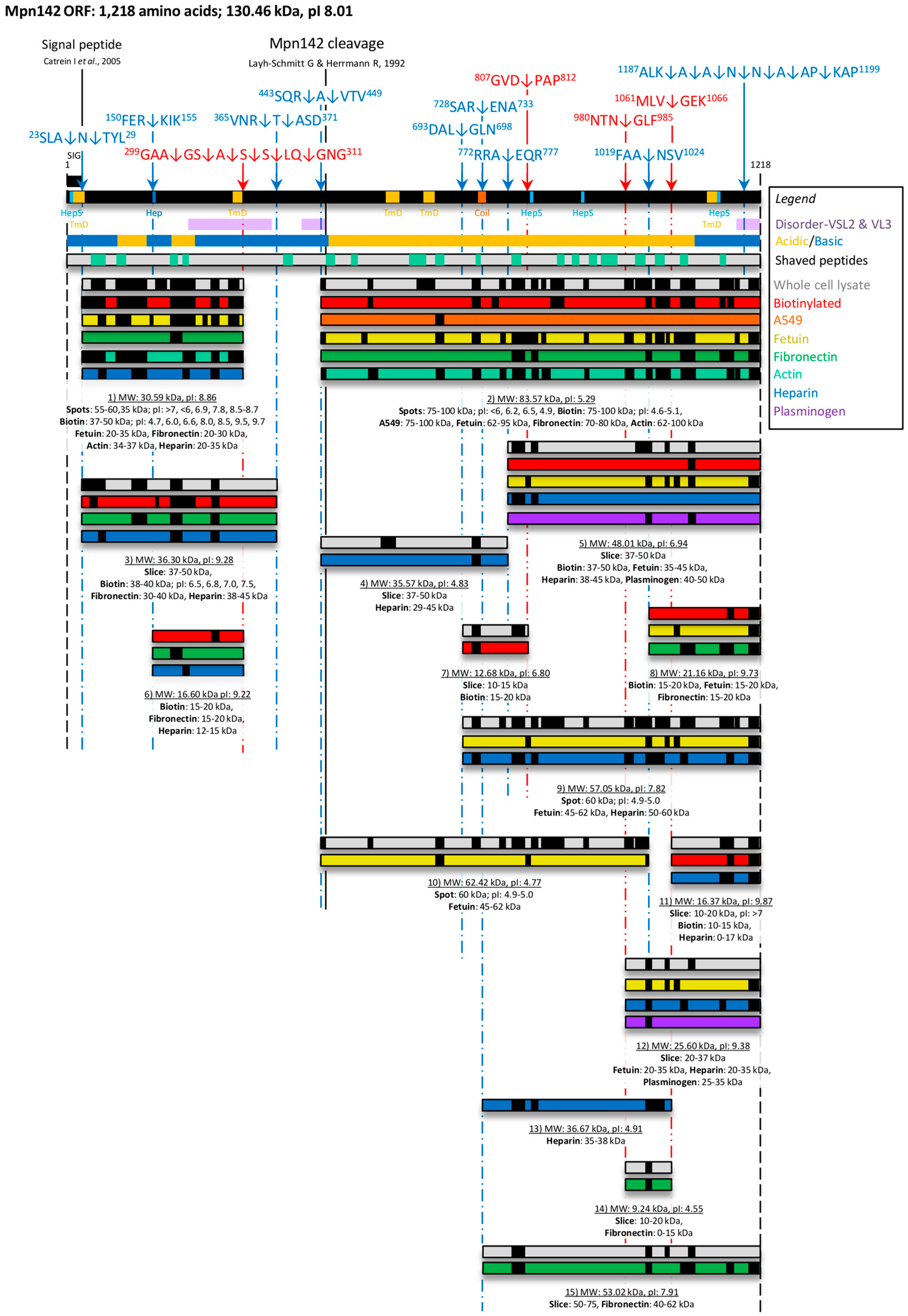 Proteomes 03 00512 g002