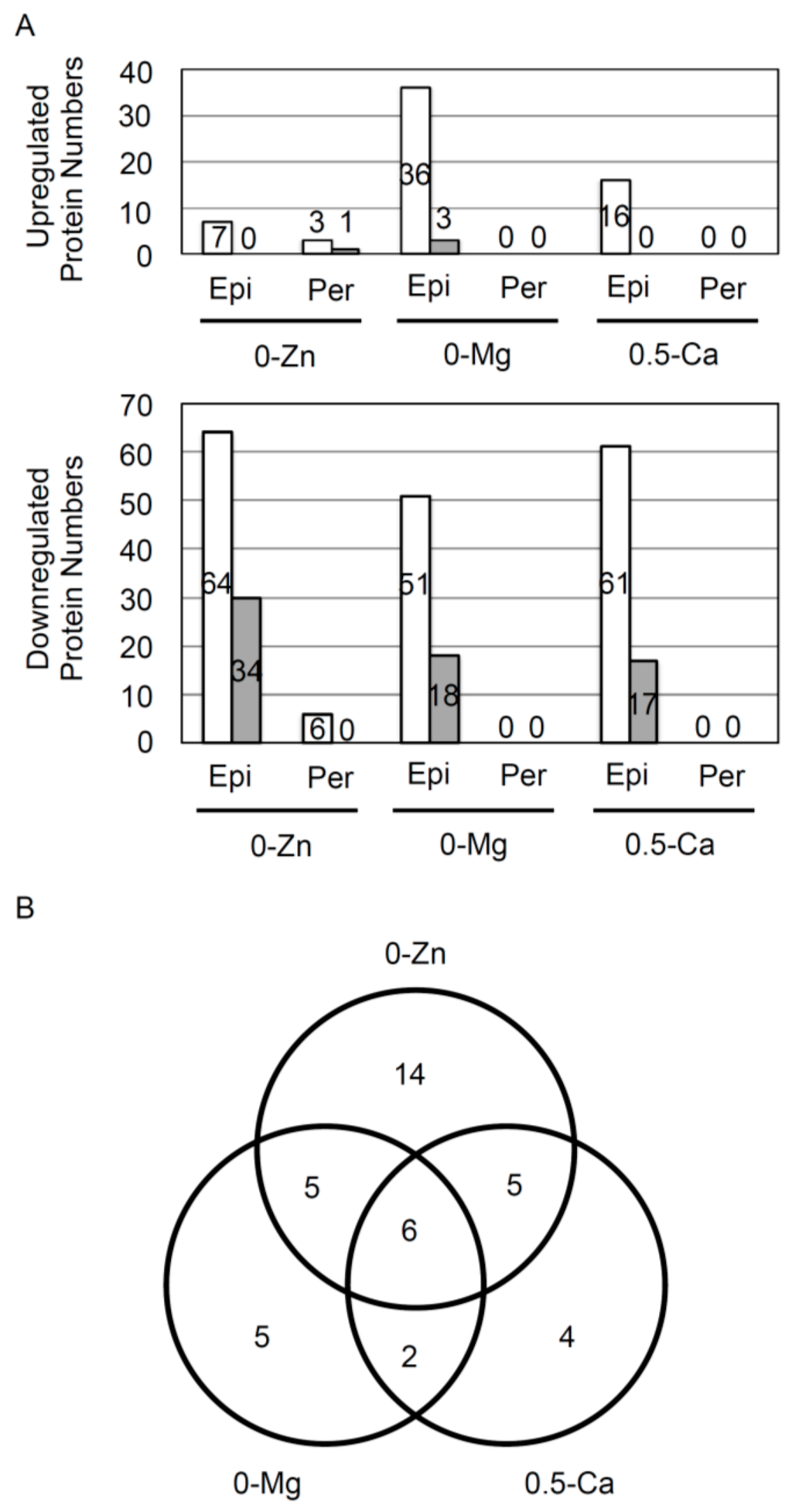 Proteomes Free FullText Quantitative Proteomic Analysis of the