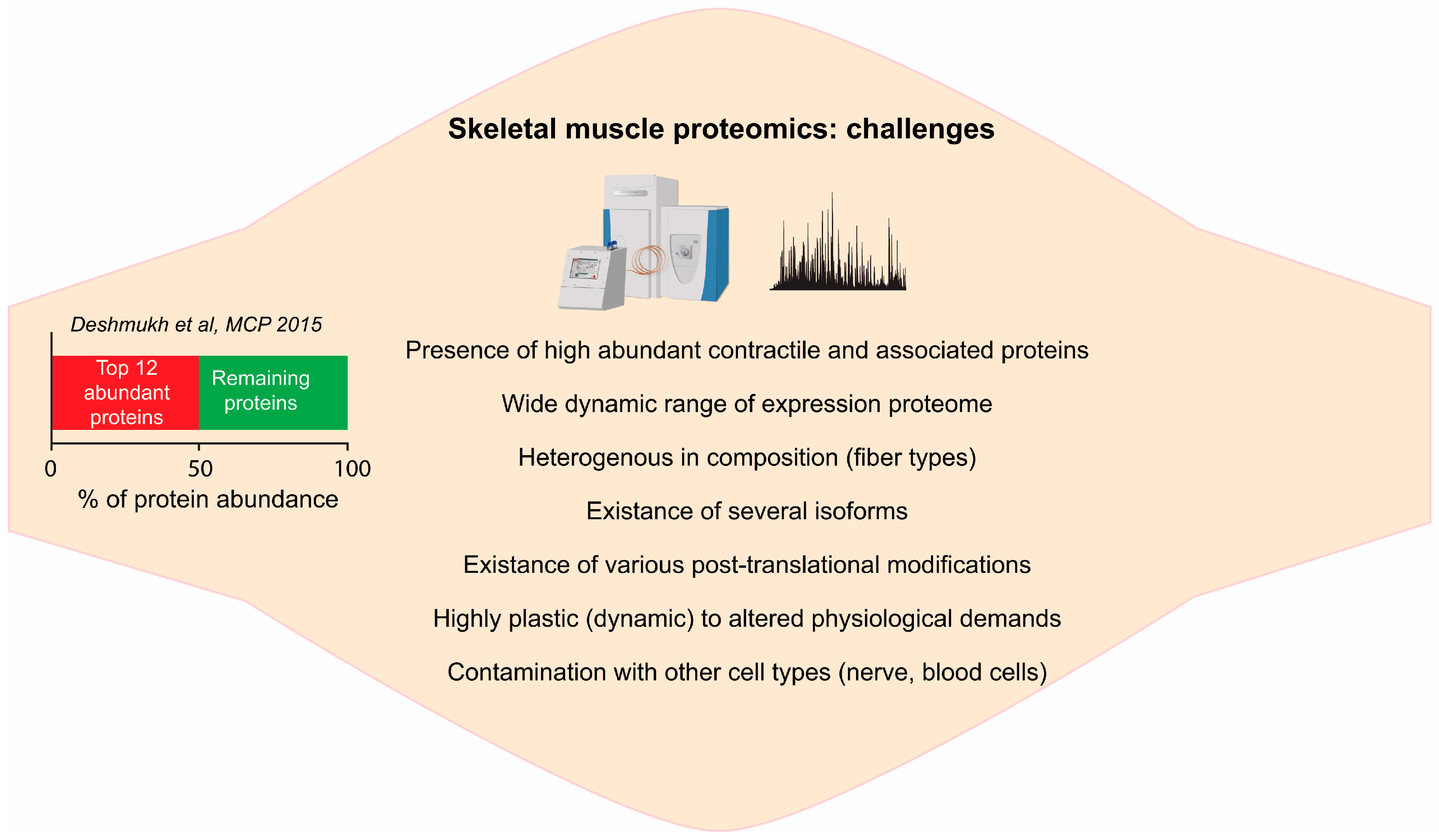 Proteomes 04 00006 g001