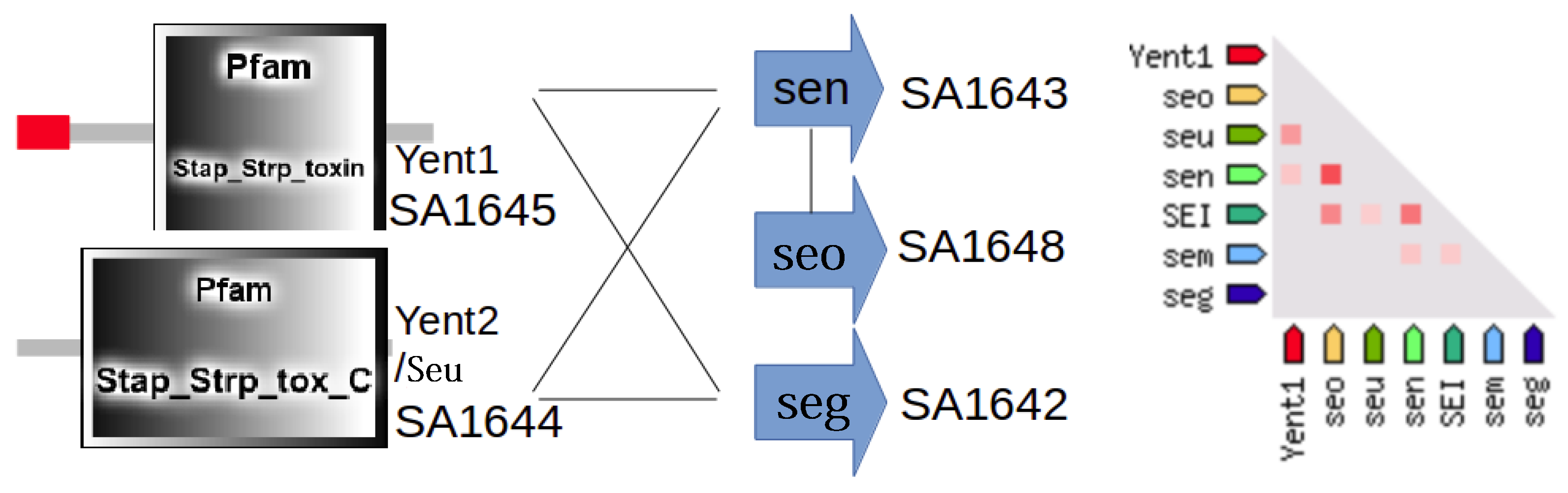 Proteomes 04 00008 g010