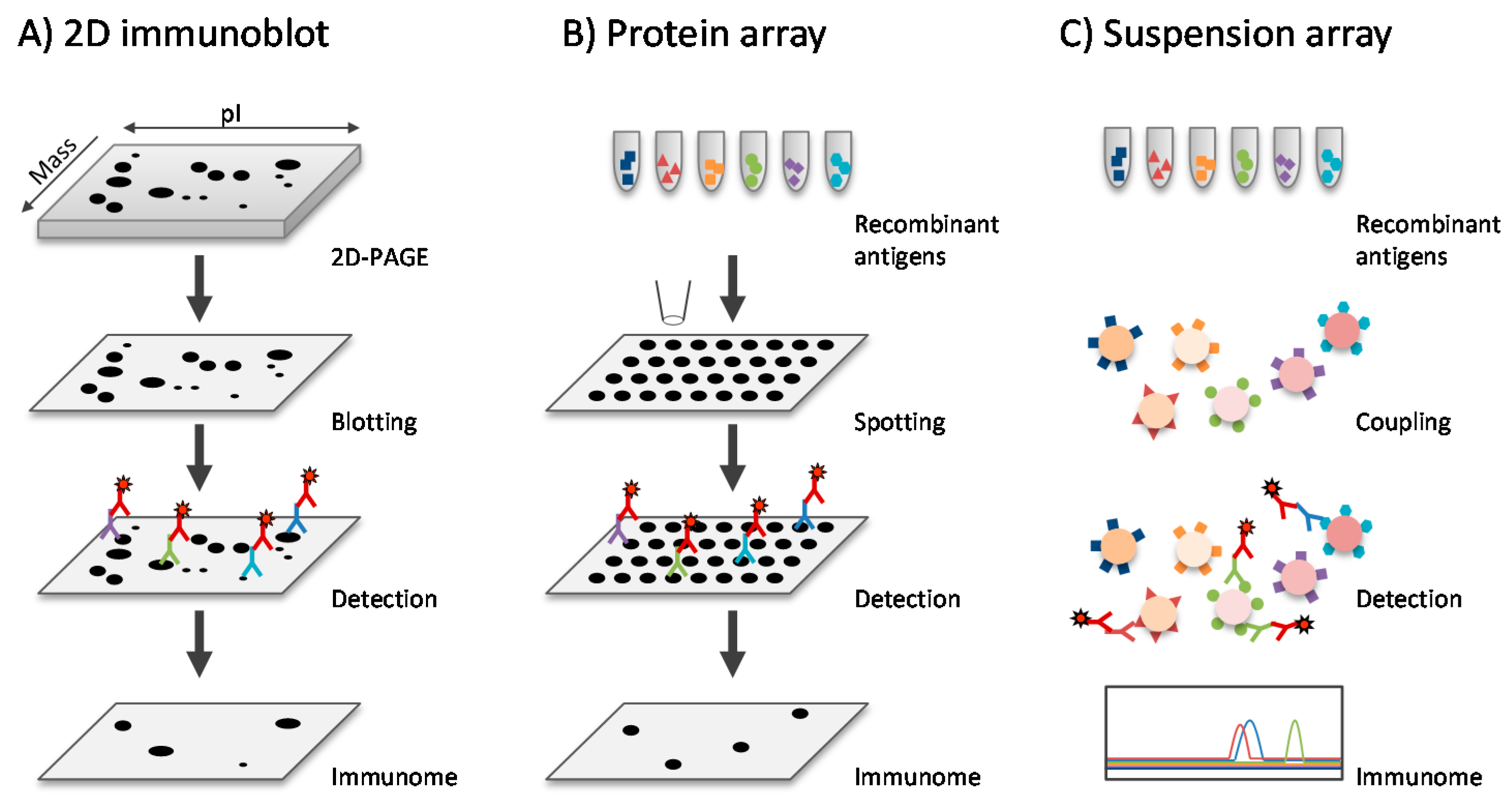 Proteomes 04 00011 g001