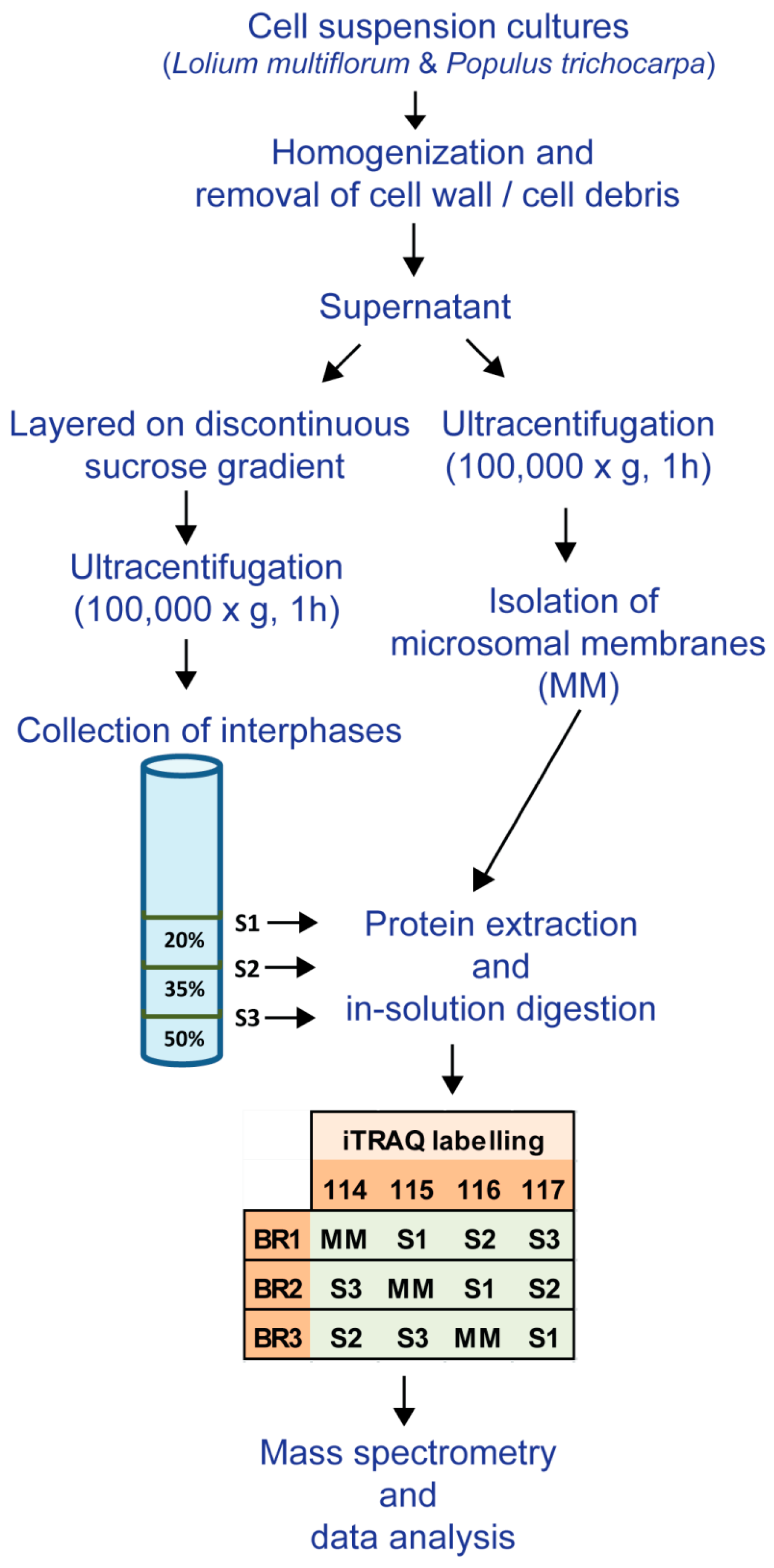 Proteomes 04 00023 g001 1024