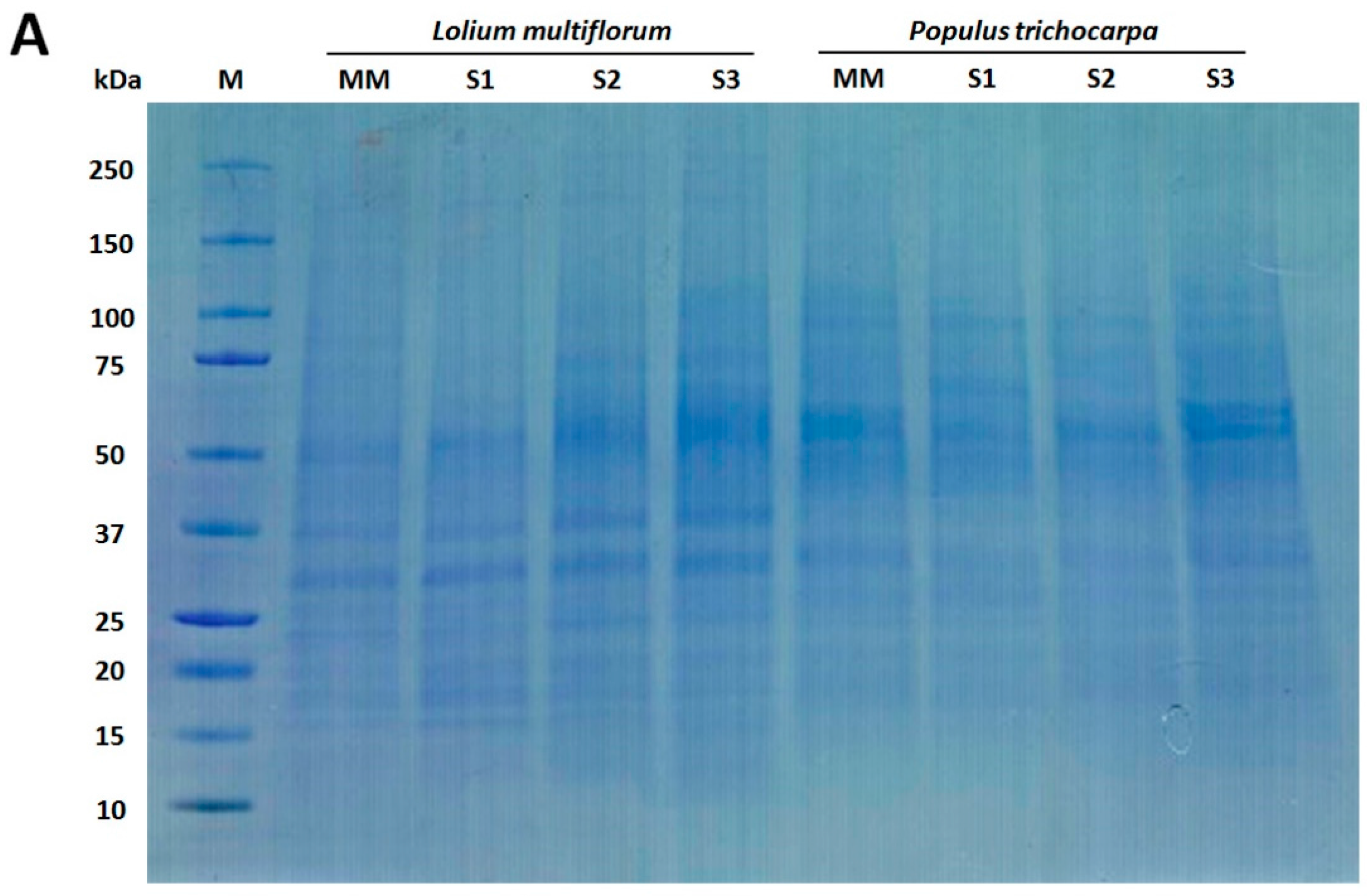 Proteomes 04 00023 g002a 1024