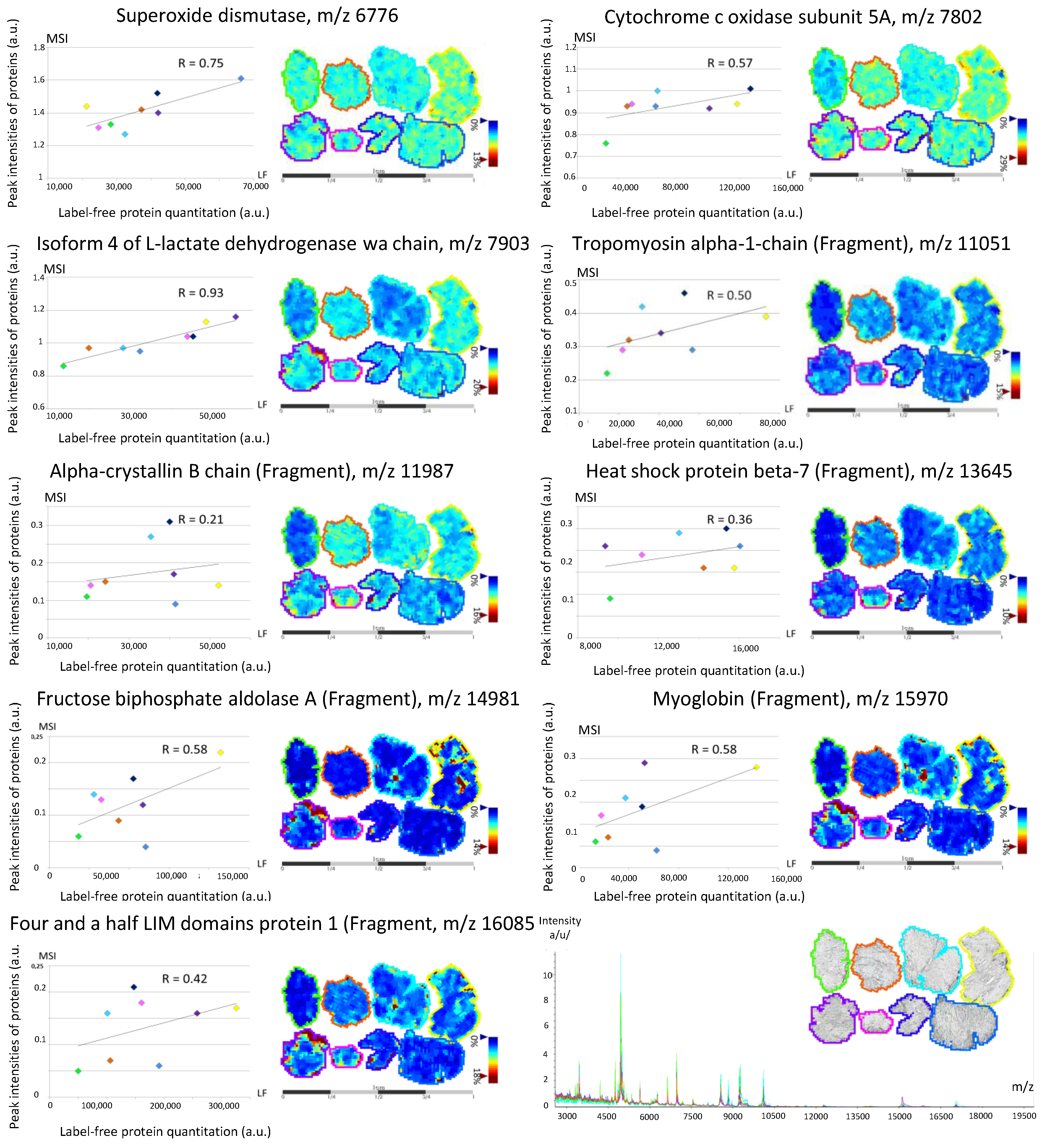 Proteomes 04 00032 g005