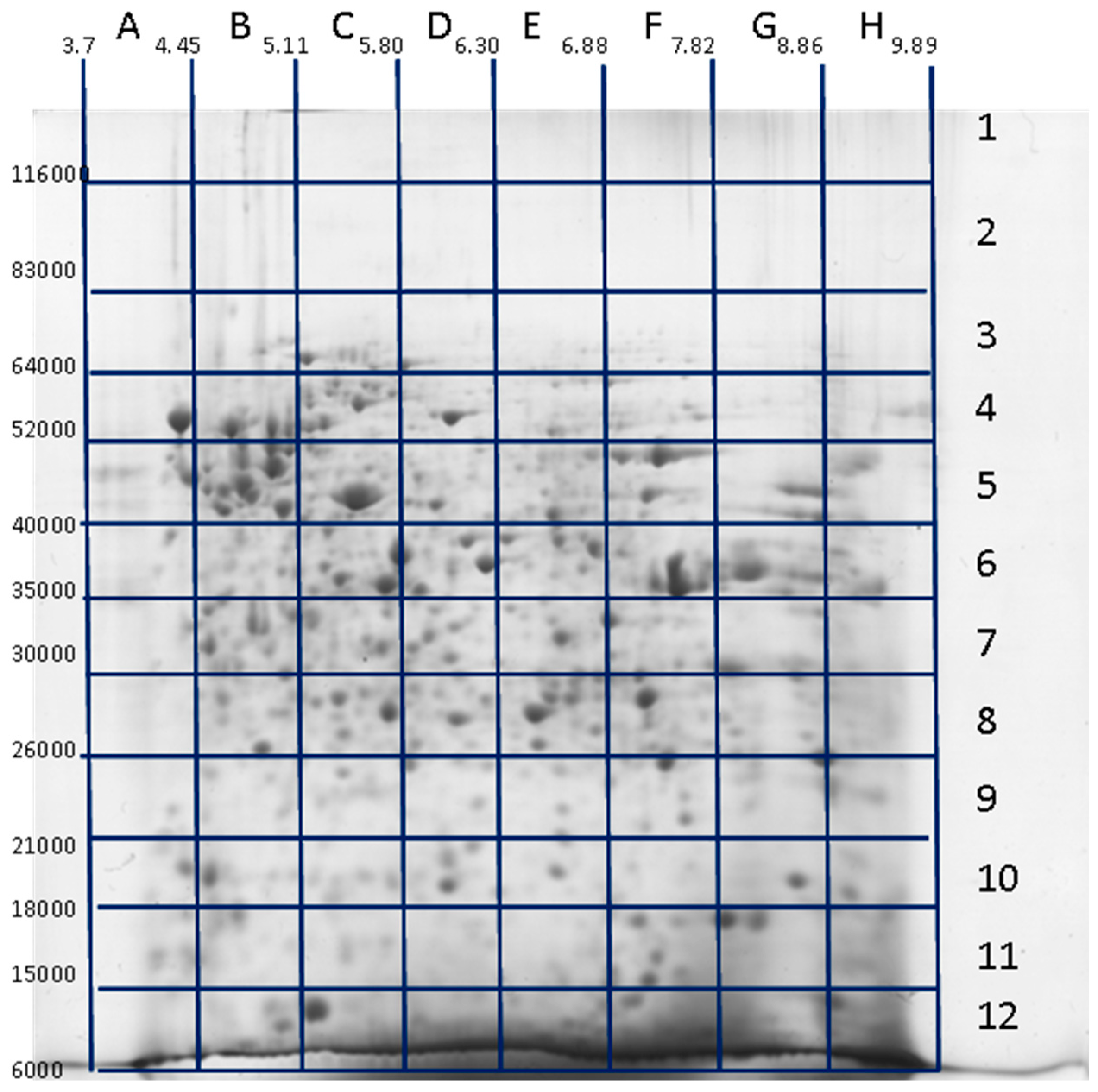 Proteomes 04 00033 g001