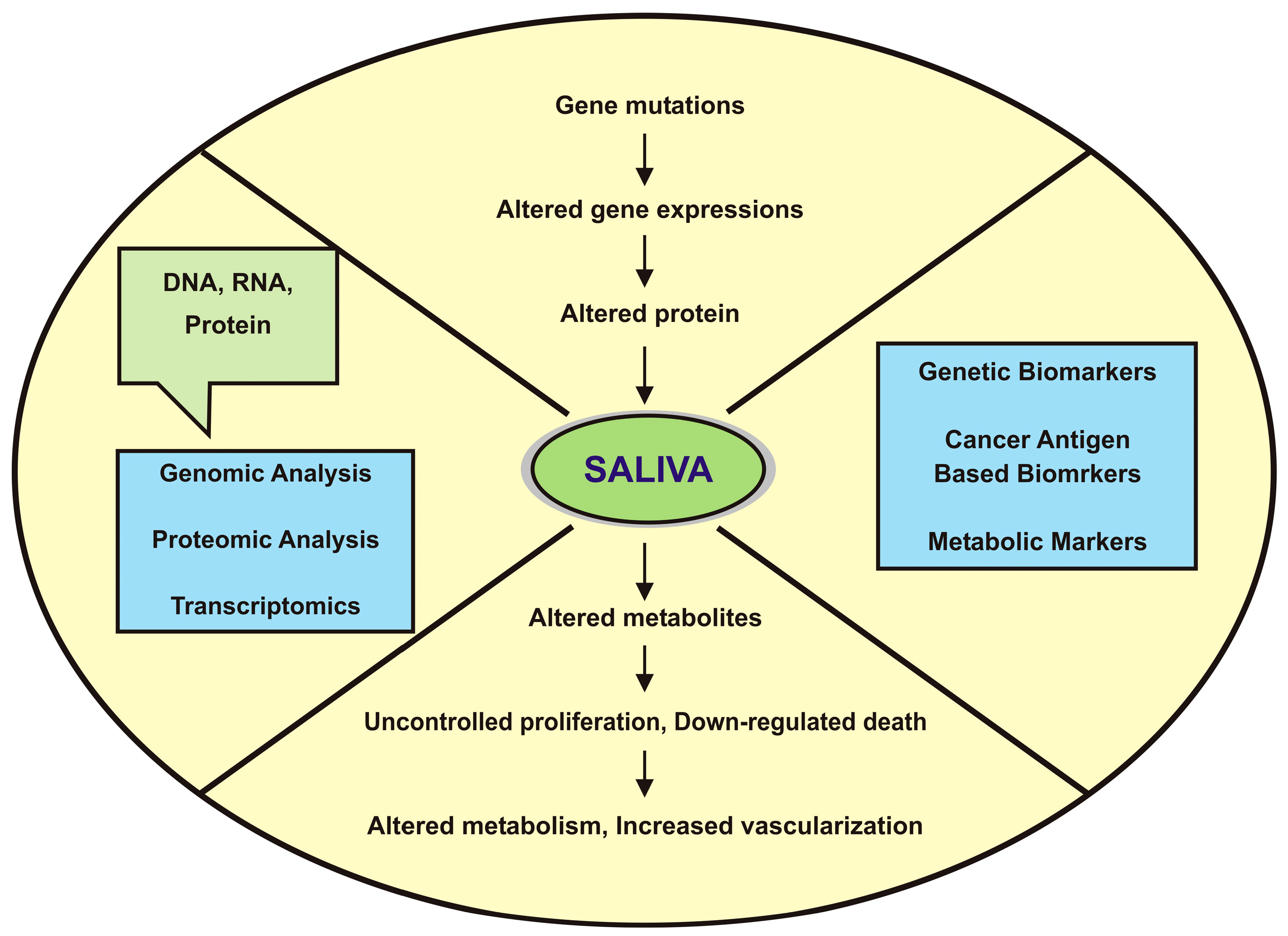 Proteomes 04 00041 g001