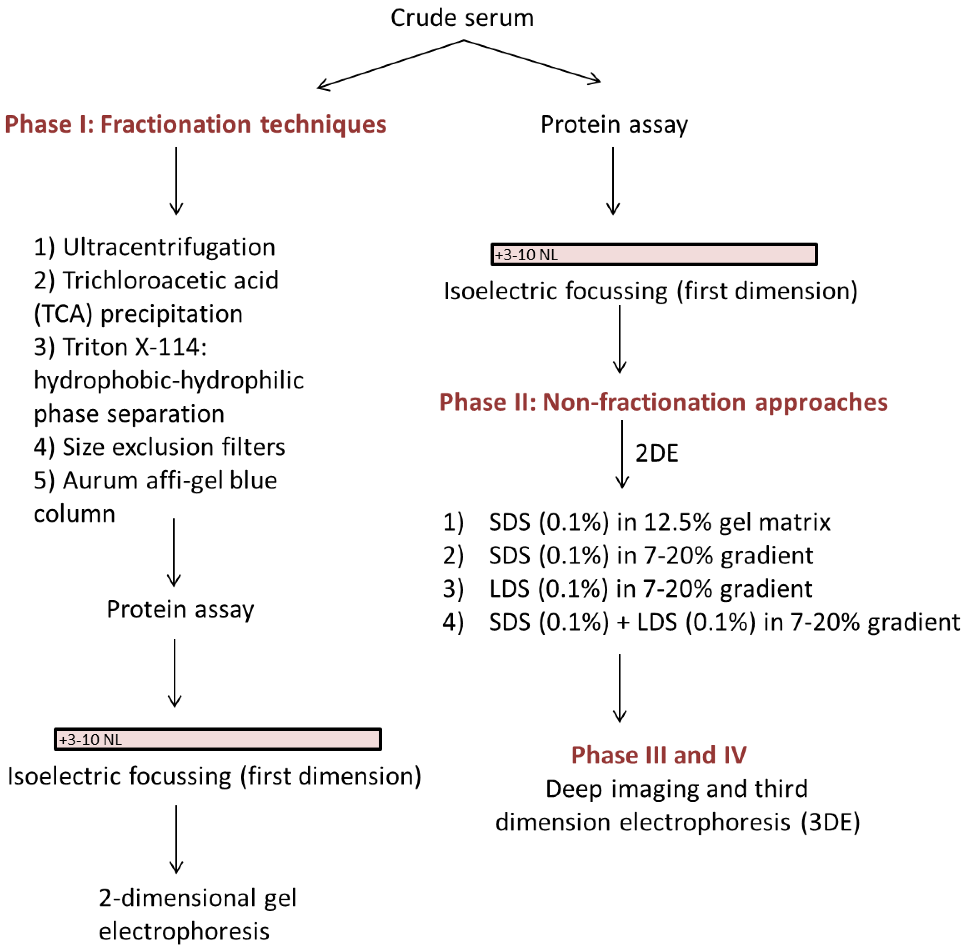 Proteomes Free Full Text A Routine Top Down Approach To Analysis Of The Human Serum Proteome Html