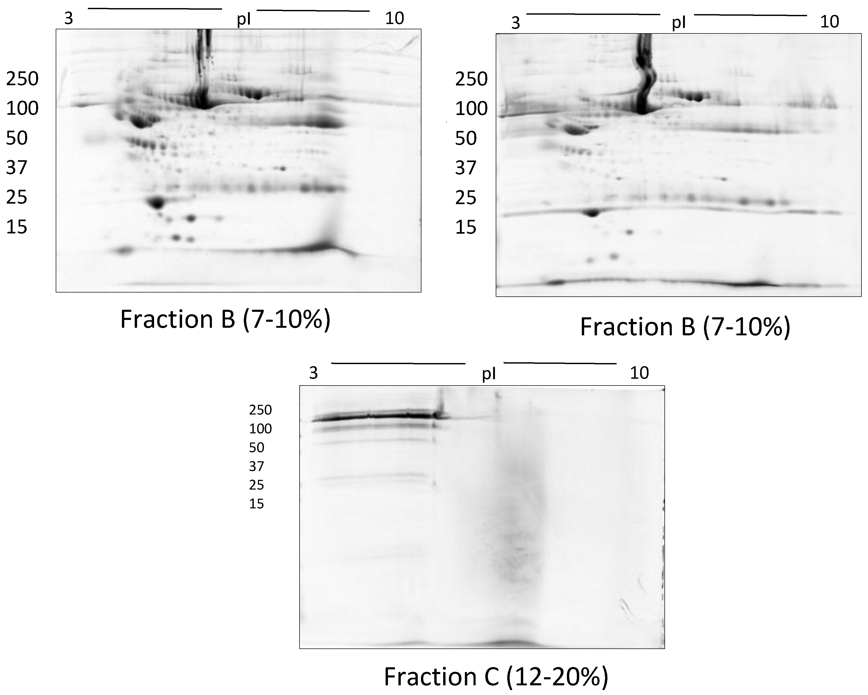 Proteomes 05 00013 g005