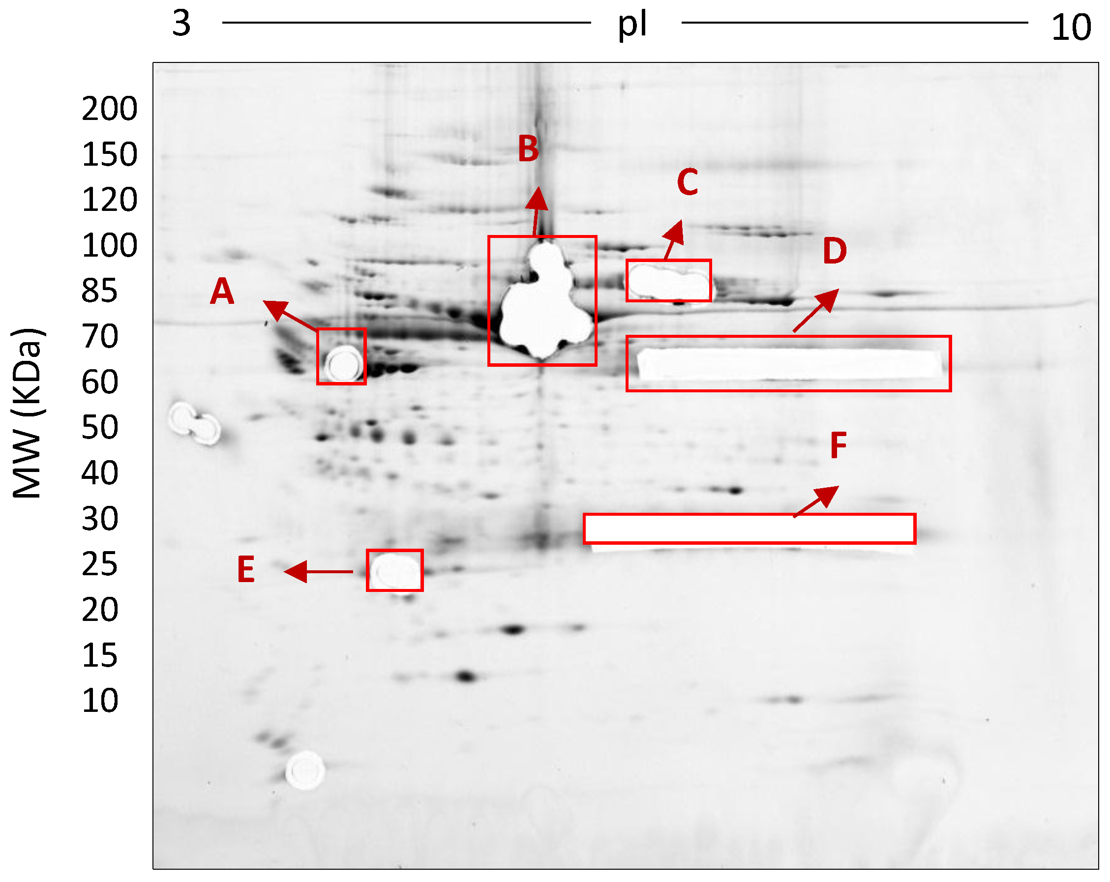 Proteomes 05 00013 g008