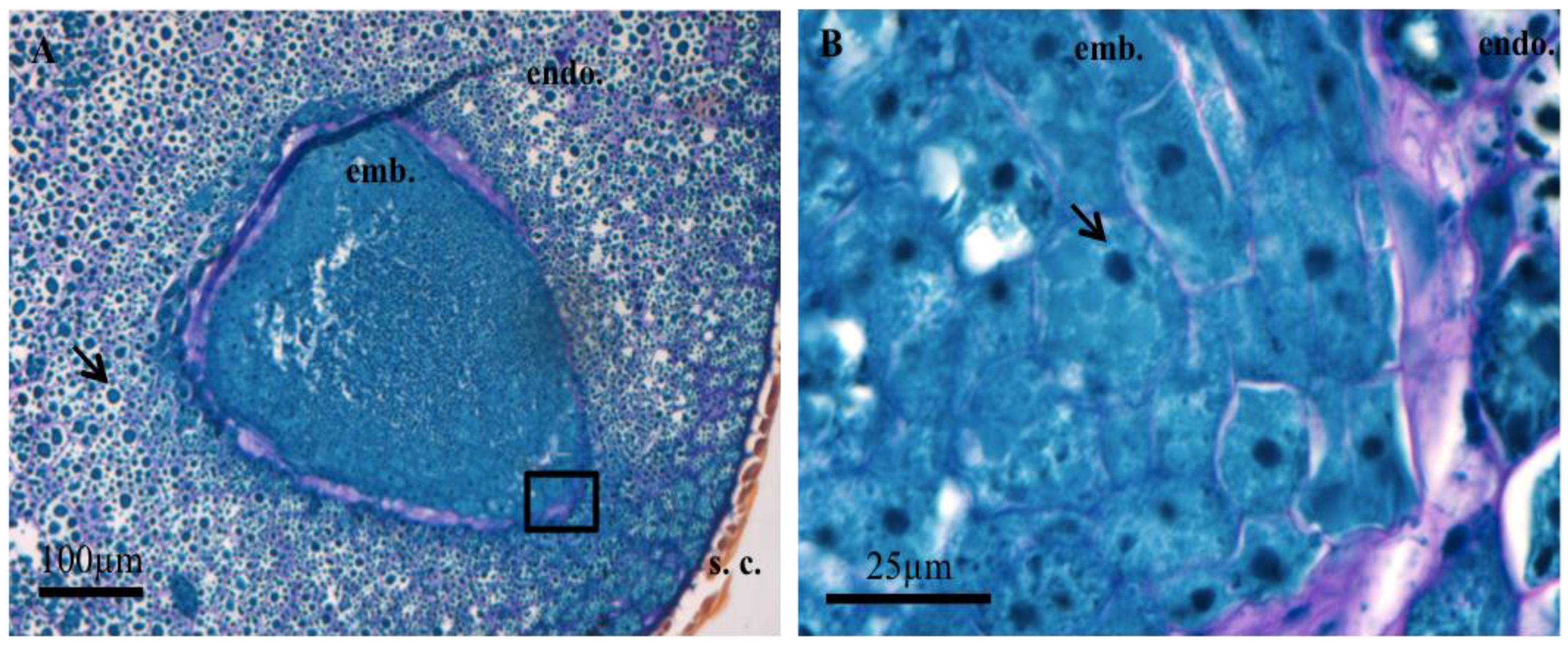 Proteomes 05 00019 g001
