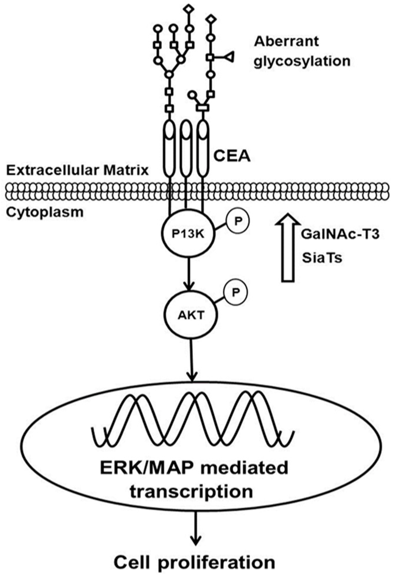 Proteomes 05 00028 g001