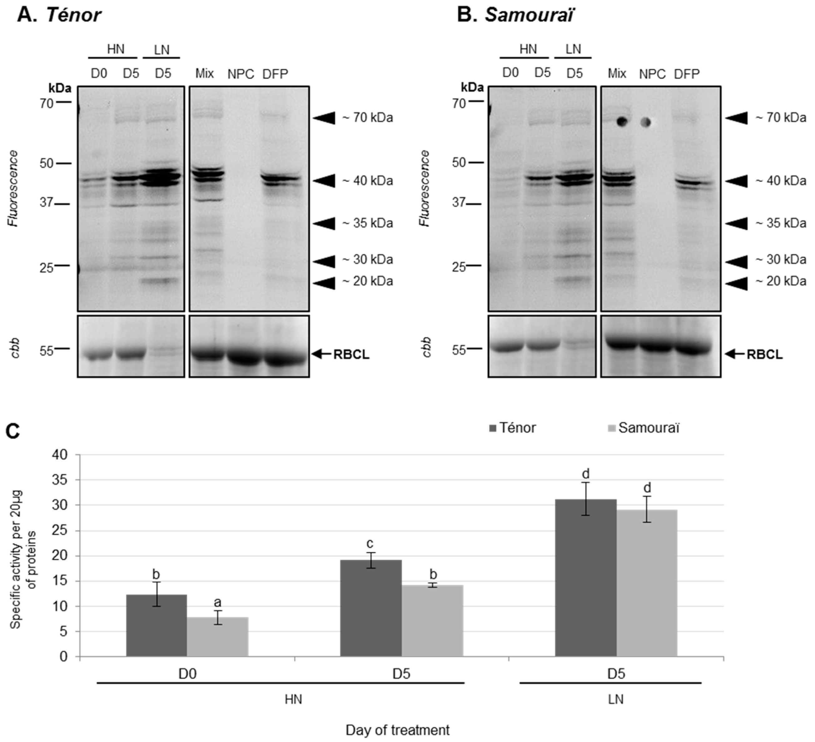 Proteomes 05 00029 g002