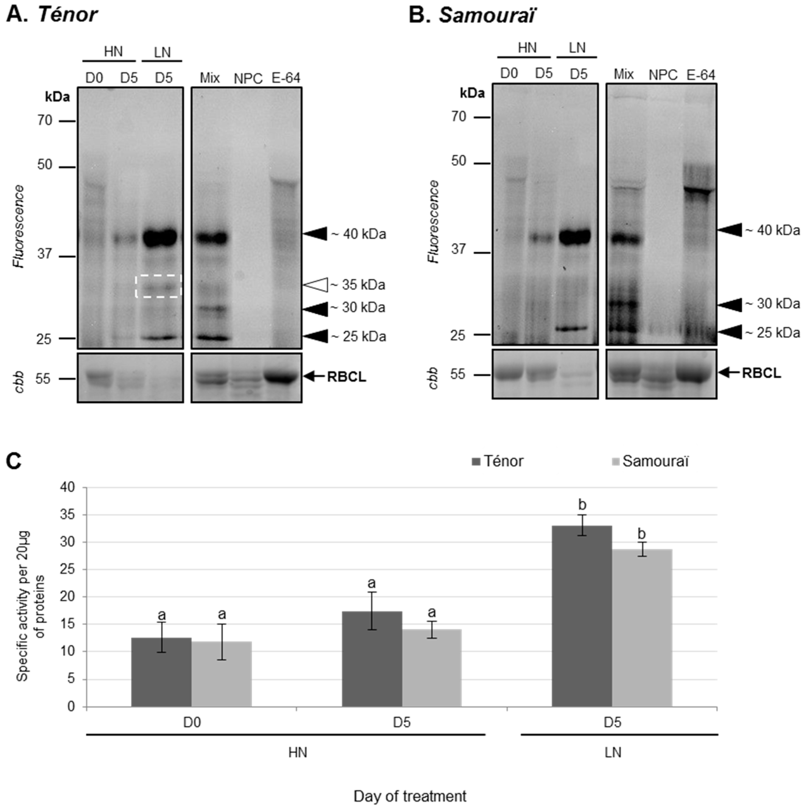 Proteomes 05 00029 g004