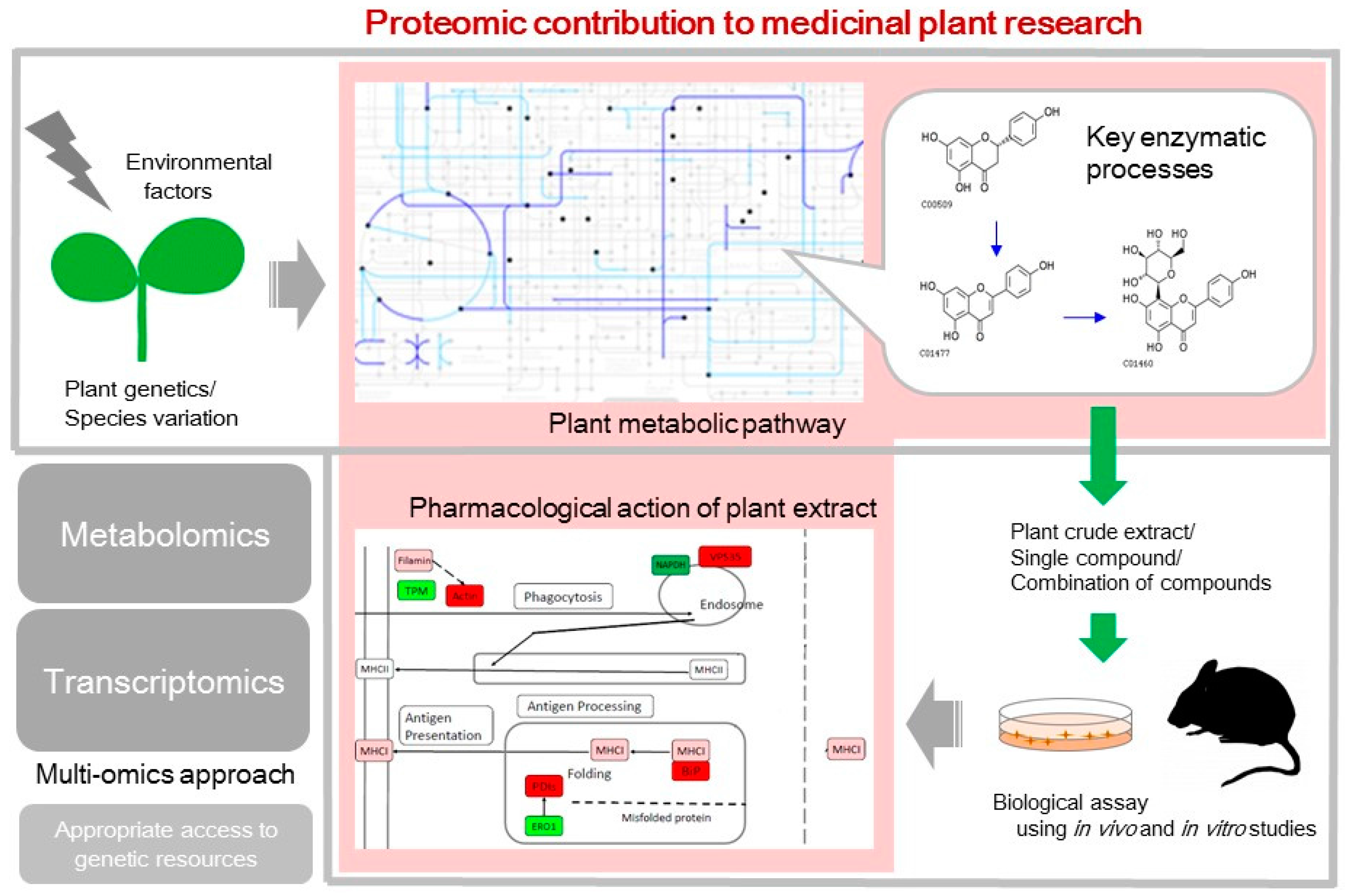 Proteomes 05 00035 g001 Proteomes 05 00035 g001