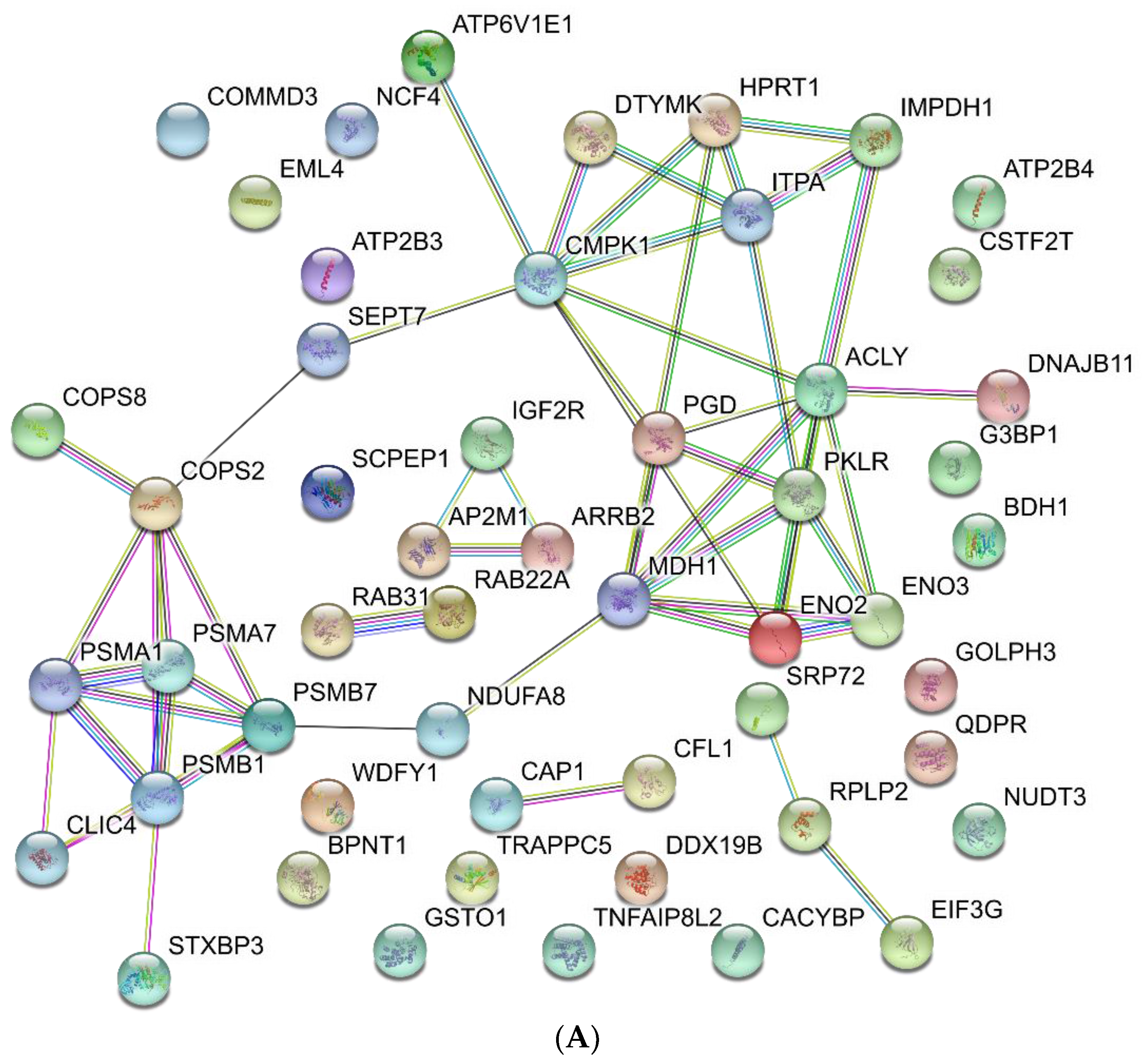 Proteomes 06 00008 g004a Proteomes 06 00008 g004a