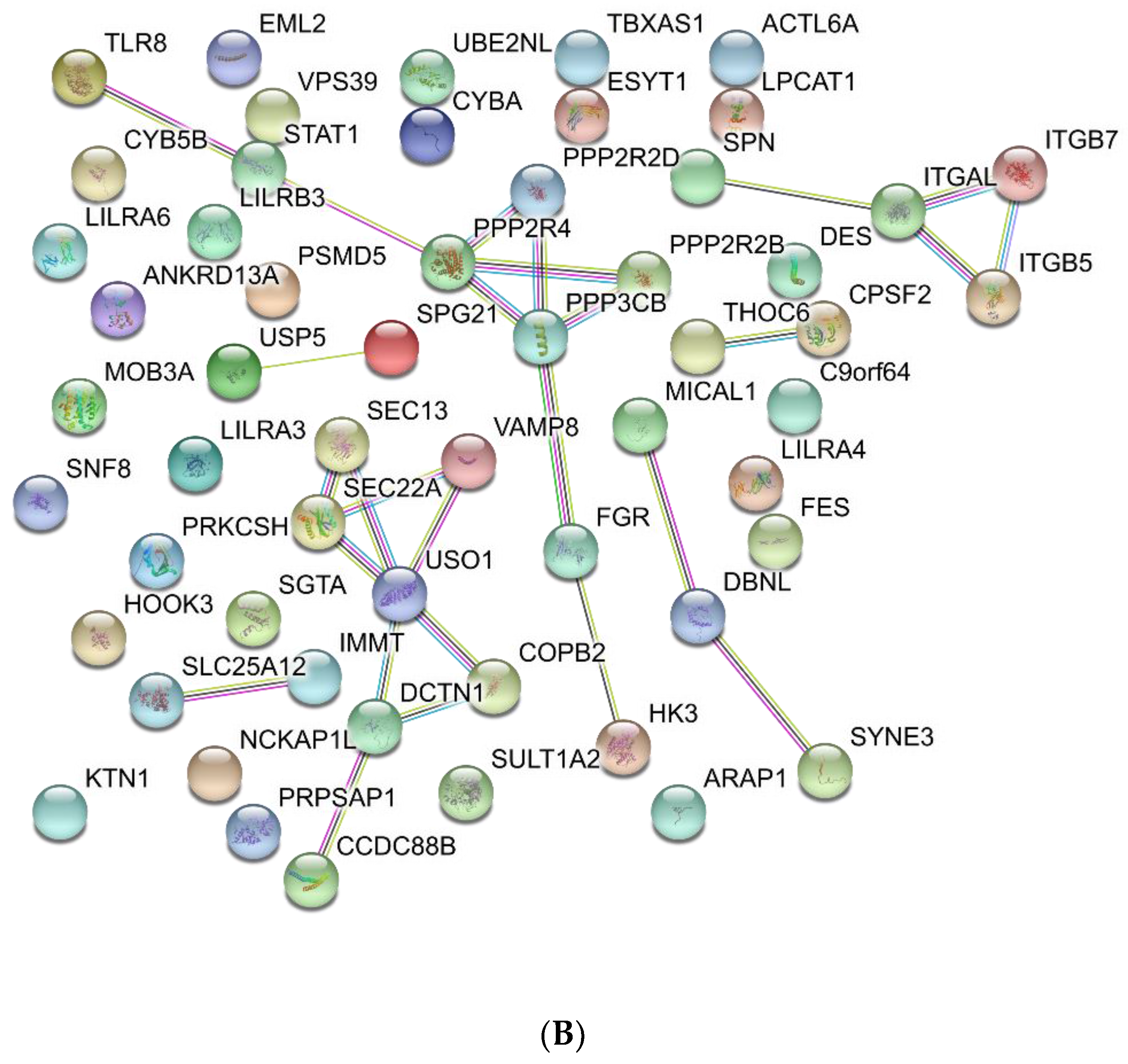 Proteomes 06 00008 g004b Proteomes 06 00008 g004b