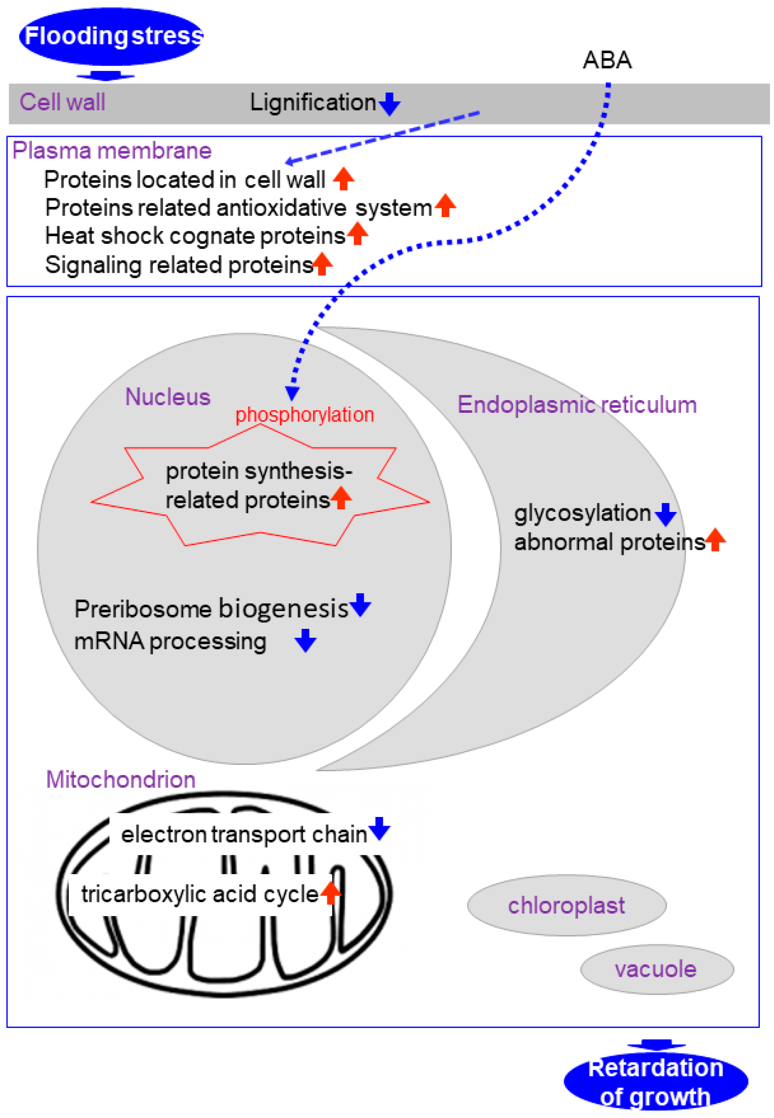 Proteomes 06 00013 g001