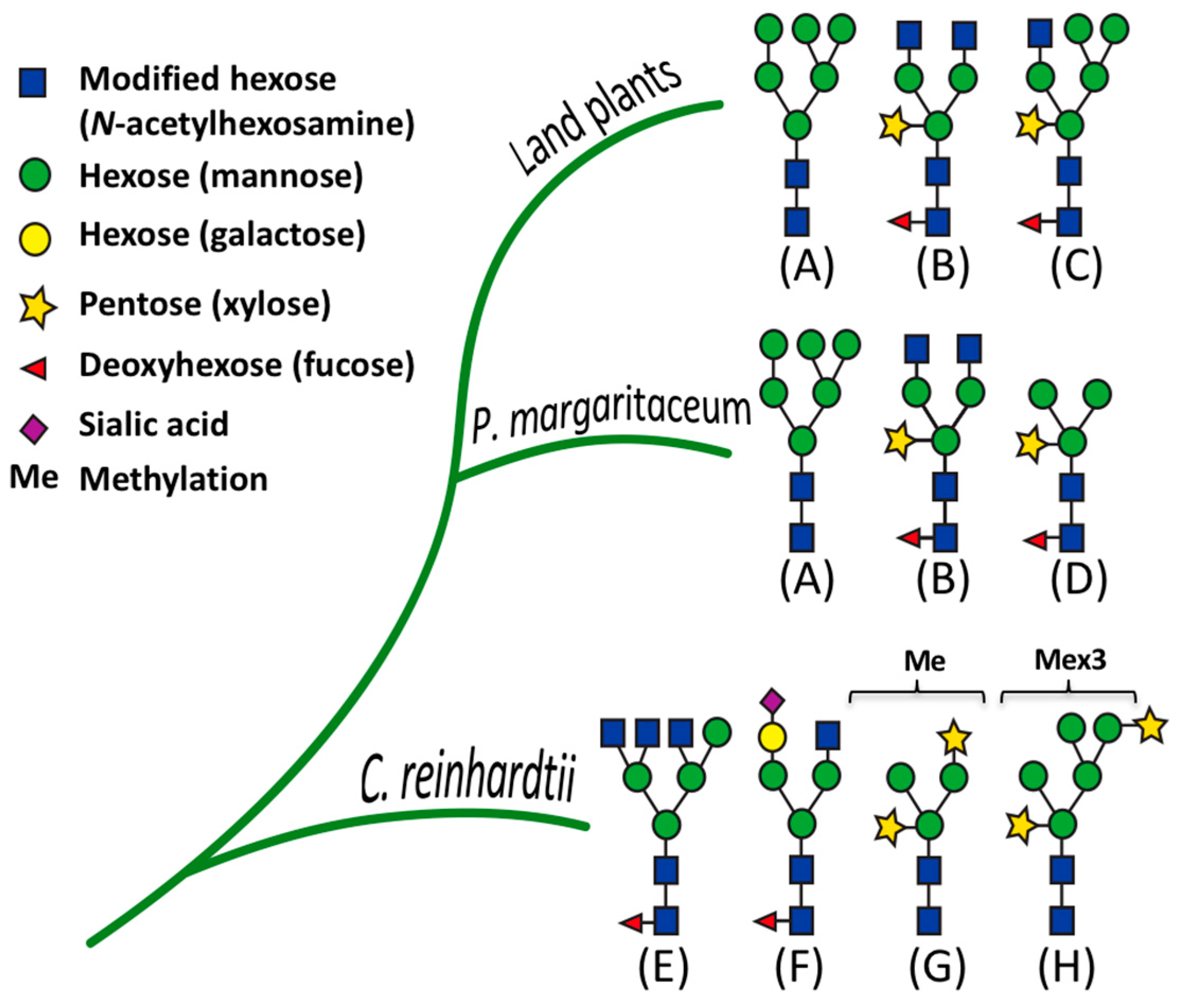 Proteomes 06 00014 g006