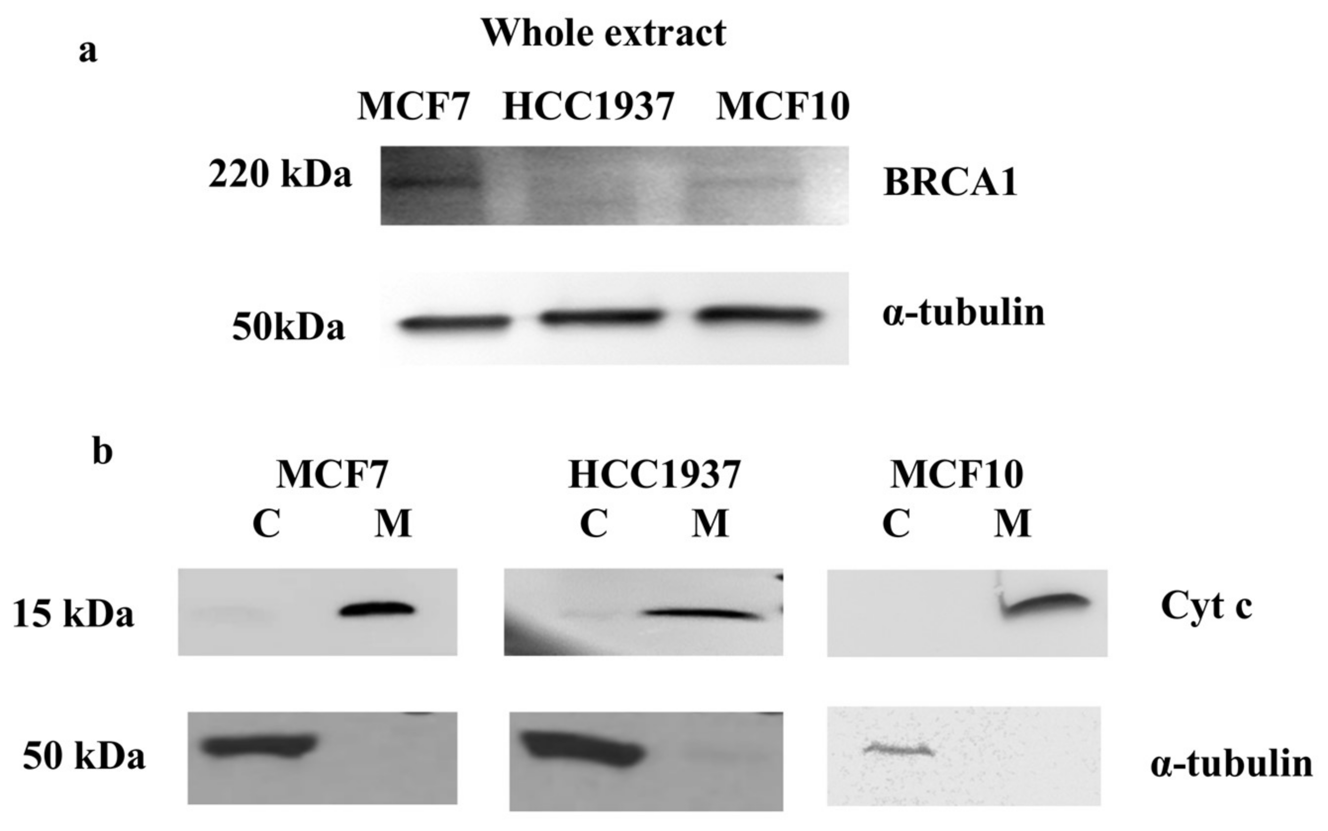 Proteomes 06 00016 g001 Proteomes 06 00016 g001