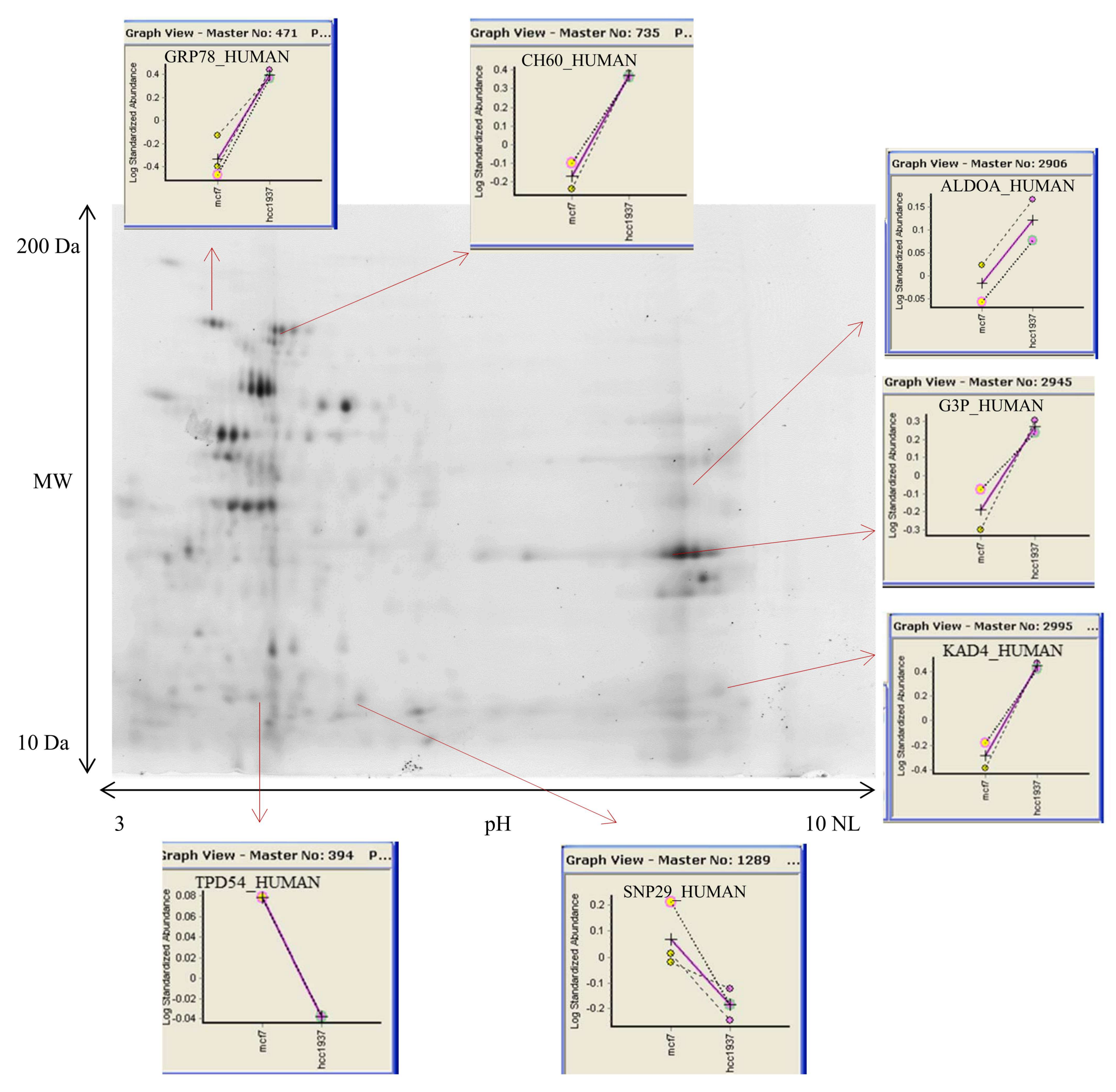Proteomes 06 00016 g002 Proteomes 06 00016 g002