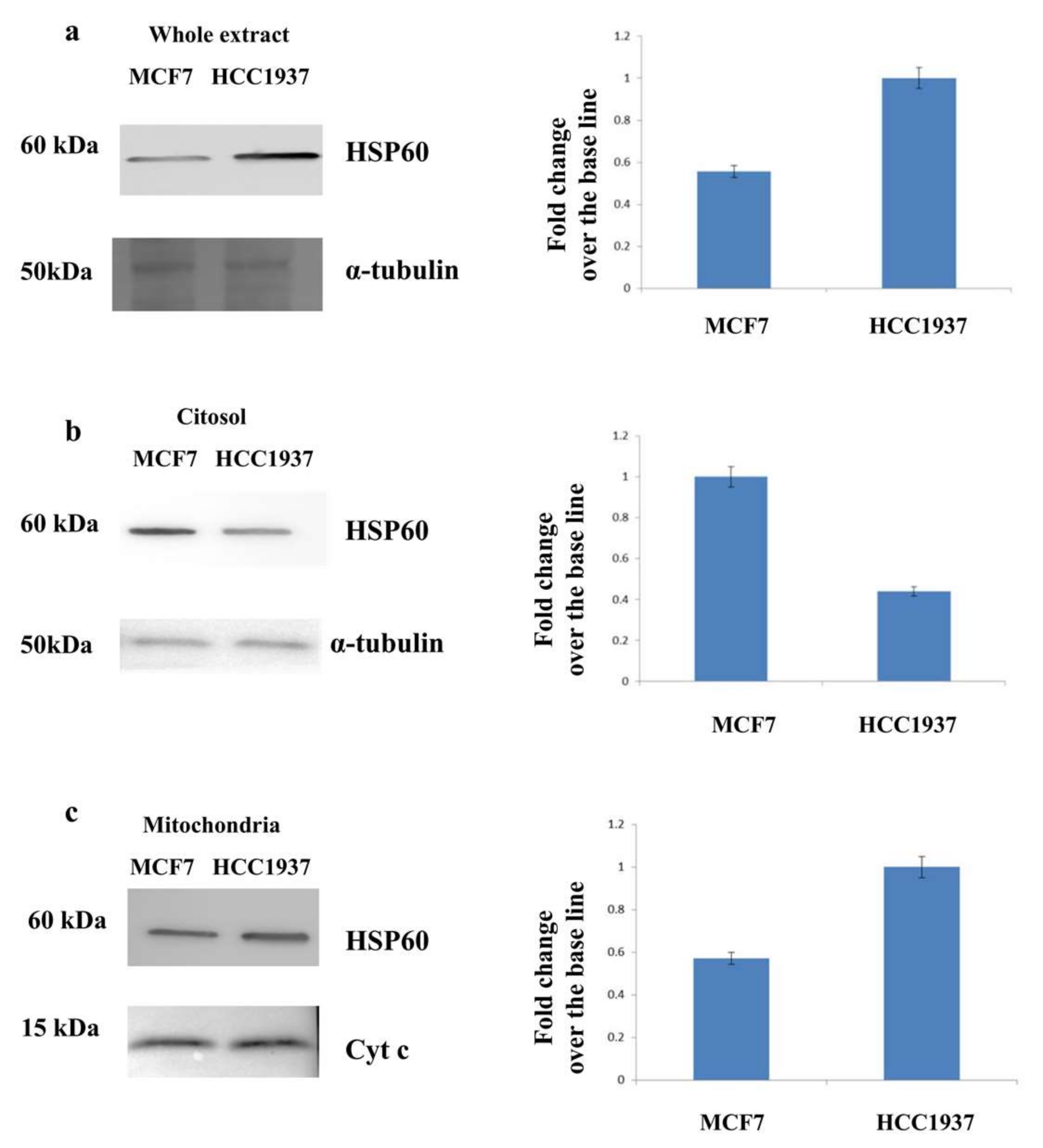 Proteomes 06 00016 g003 Proteomes 06 00016 g003