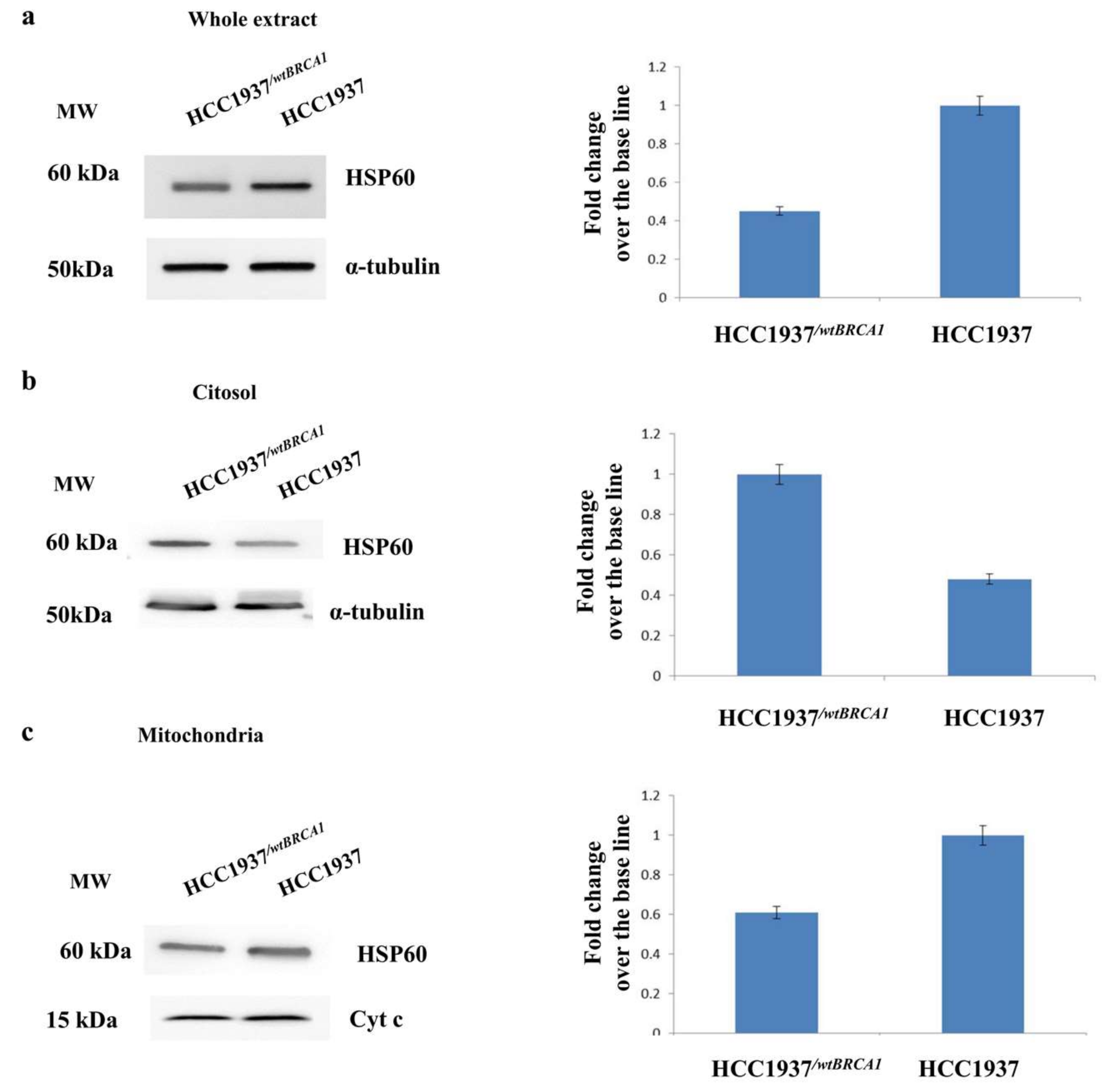 Proteomes 06 00016 g008 Proteomes 06 00016 g008