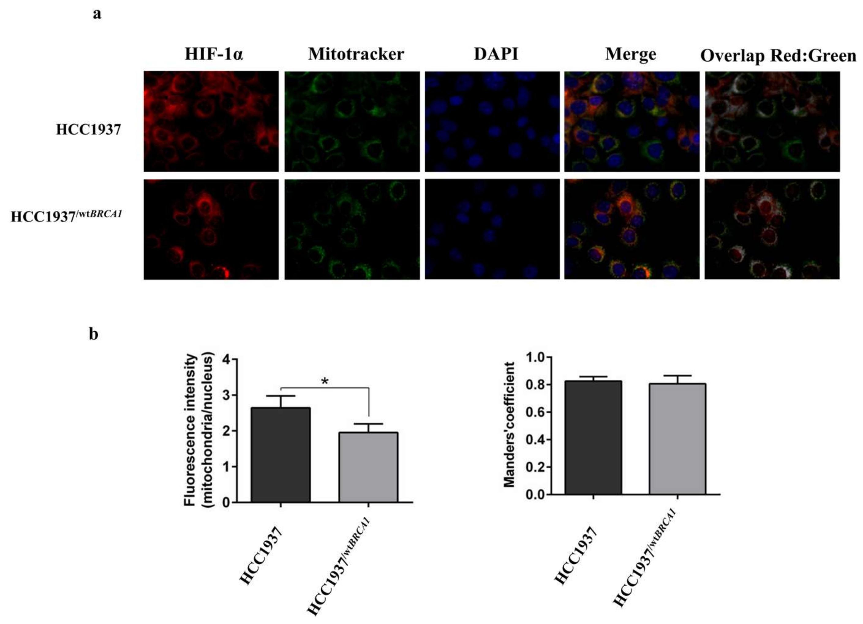 Proteomes 06 00016 g009 Proteomes 06 00016 g009