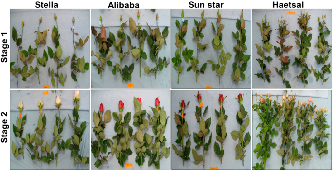 Proteomes 06 00025 g001 Proteomes 06 00025 g001