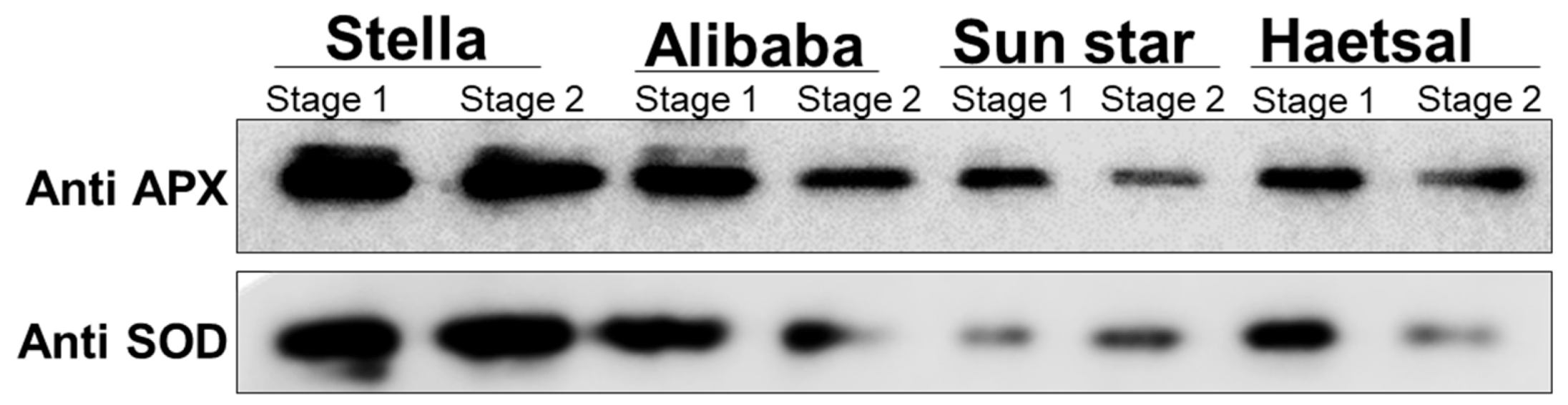 Proteomes 06 00025 g003 Proteomes 06 00025 g003