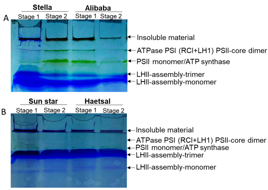Proteomes 06 00025 g004 Proteomes 06 00025 g004