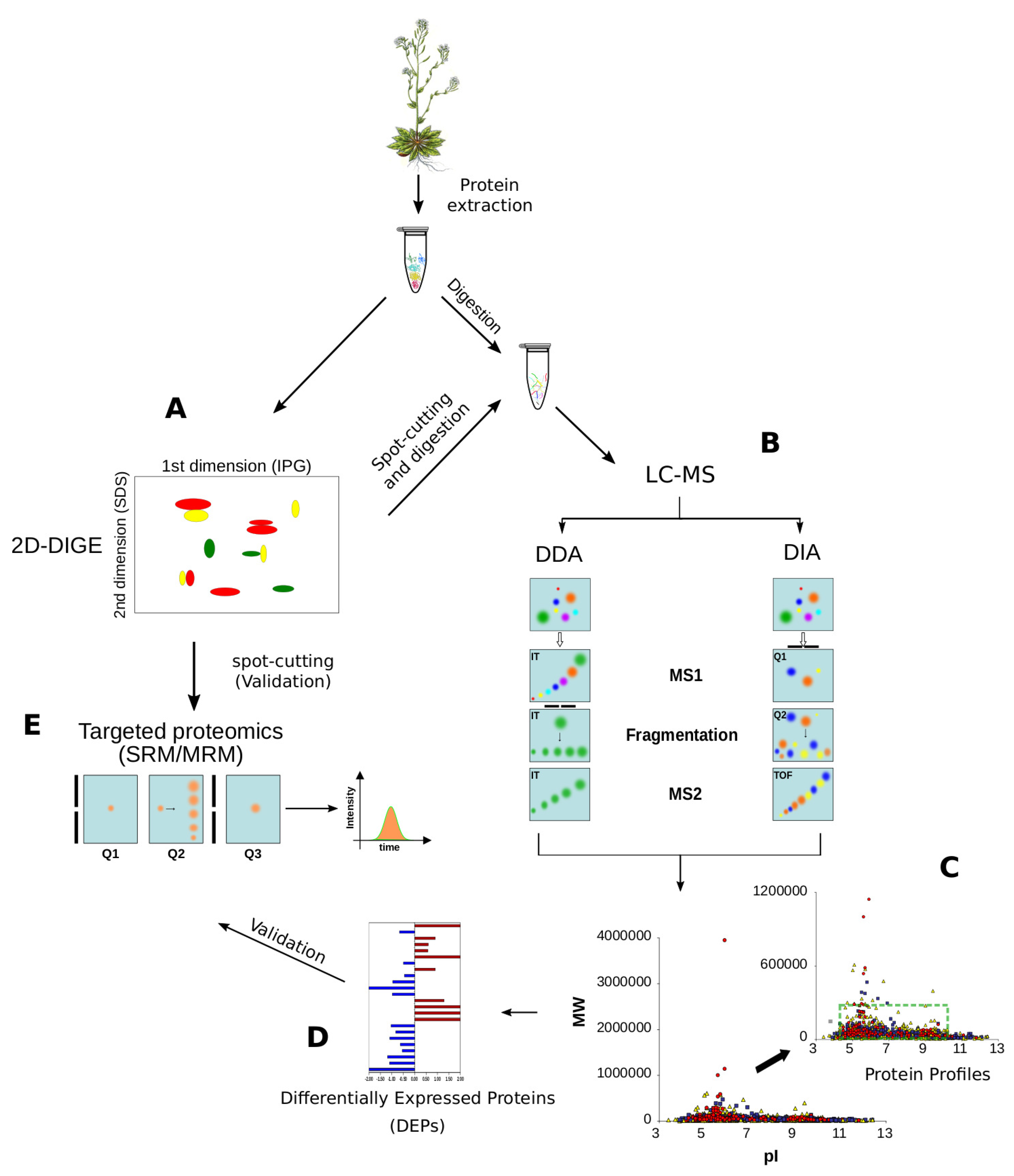Proteomes 06 00027 g005