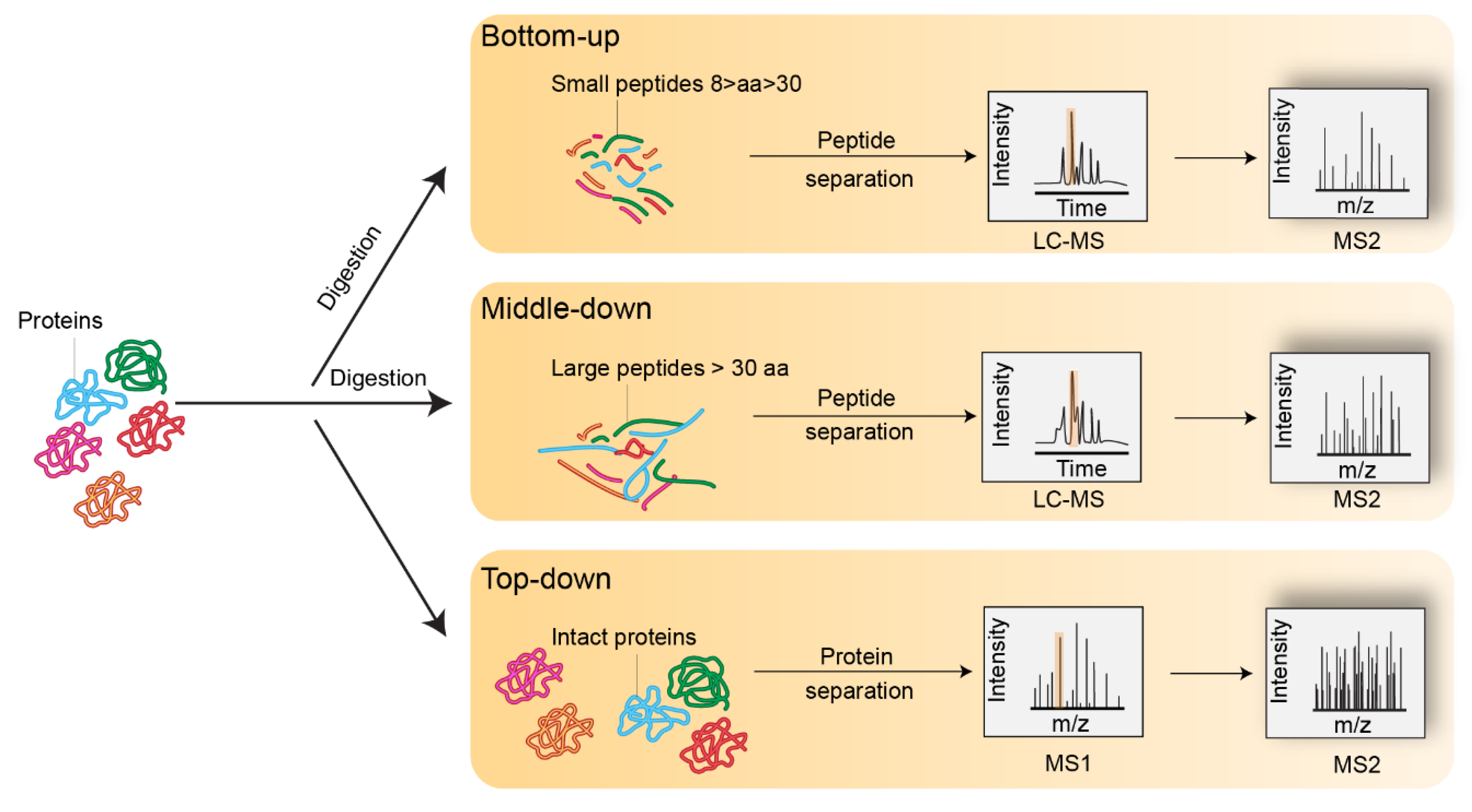 Proteomes 06 00029 g002 Proteomes 06 00029 g002