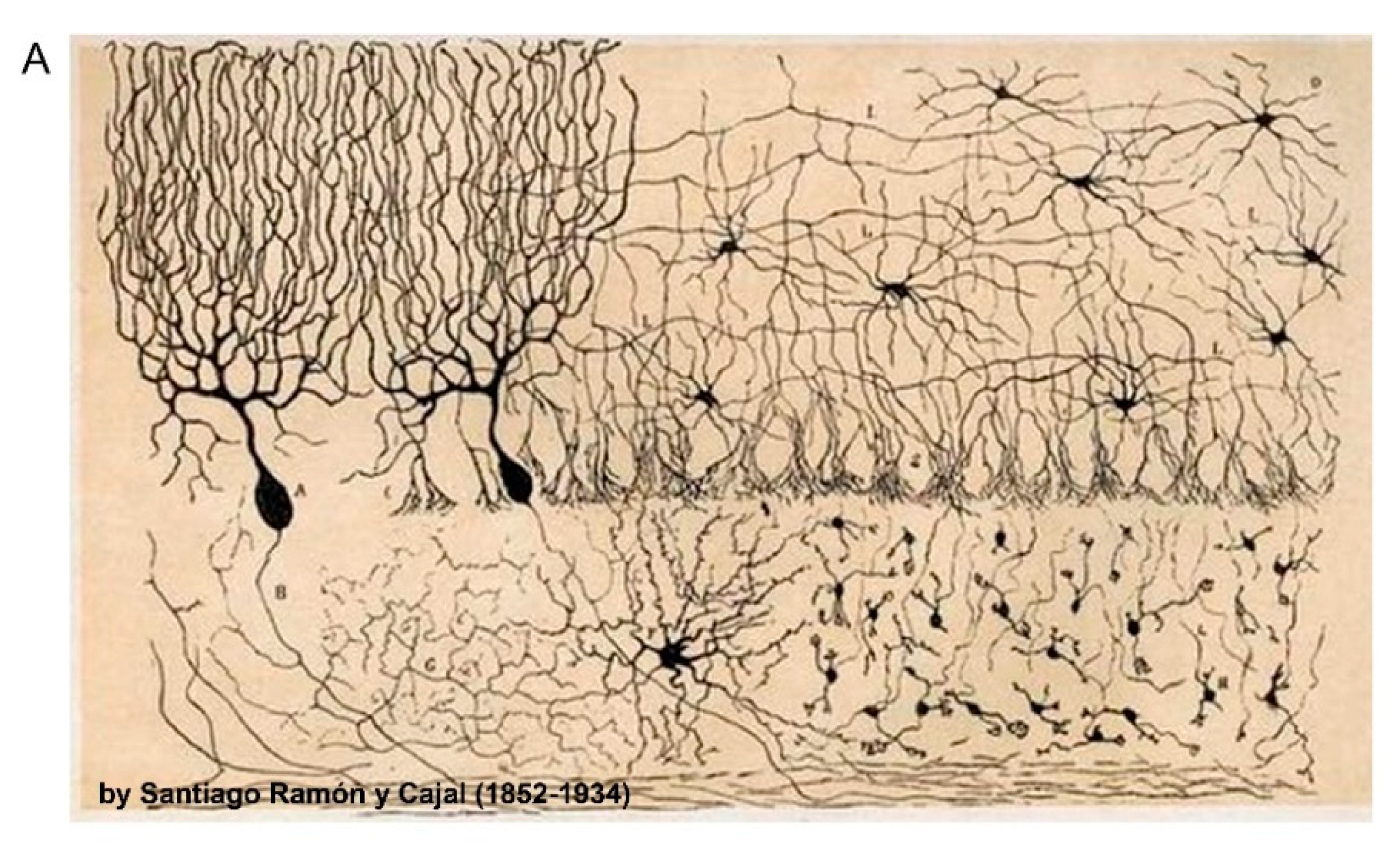 Proteomes 06 00030 g001a Proteomes 06 00030 g001a