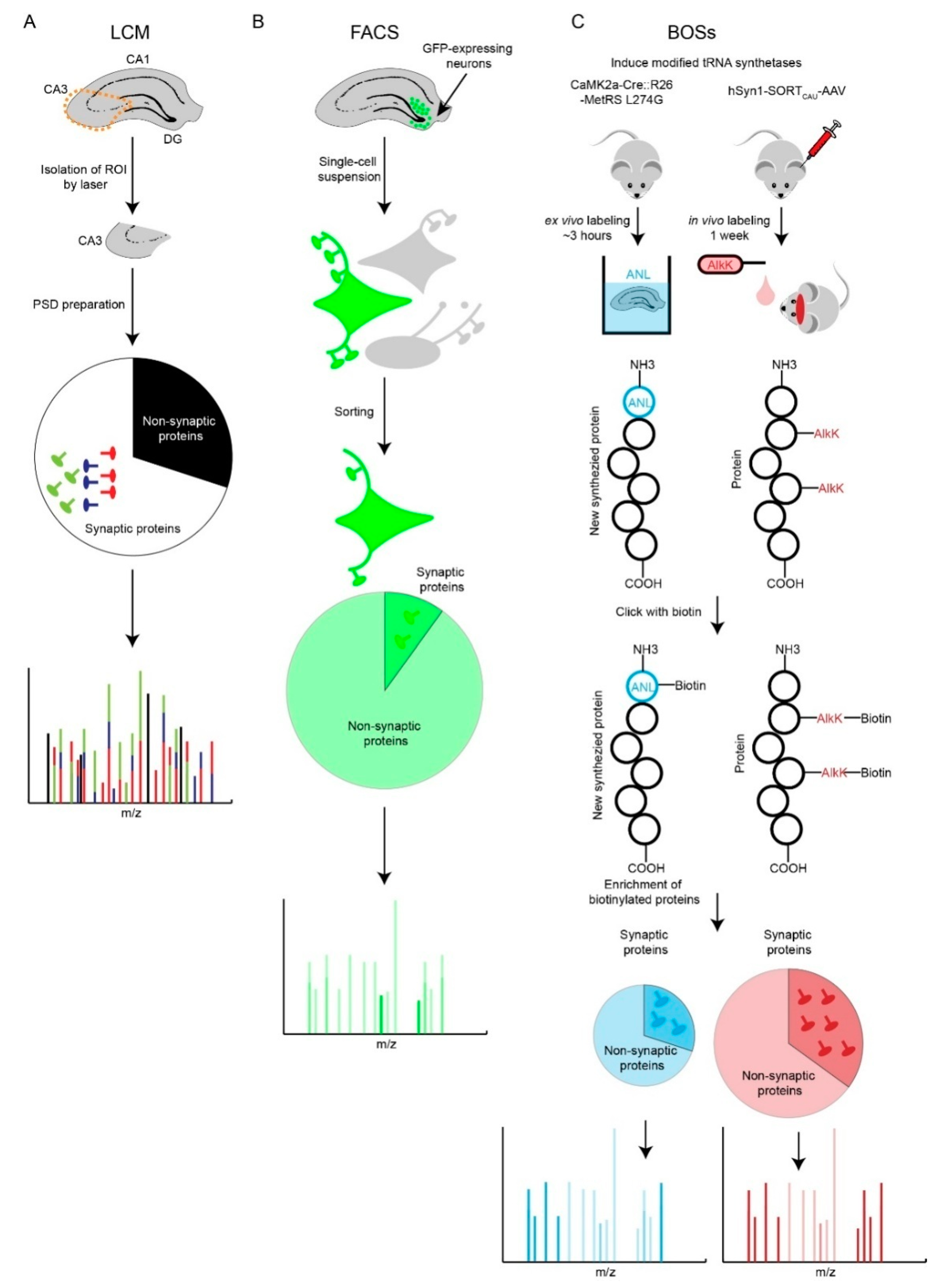 Proteomes 06 00030 g002 Proteomes 06 00030 g002