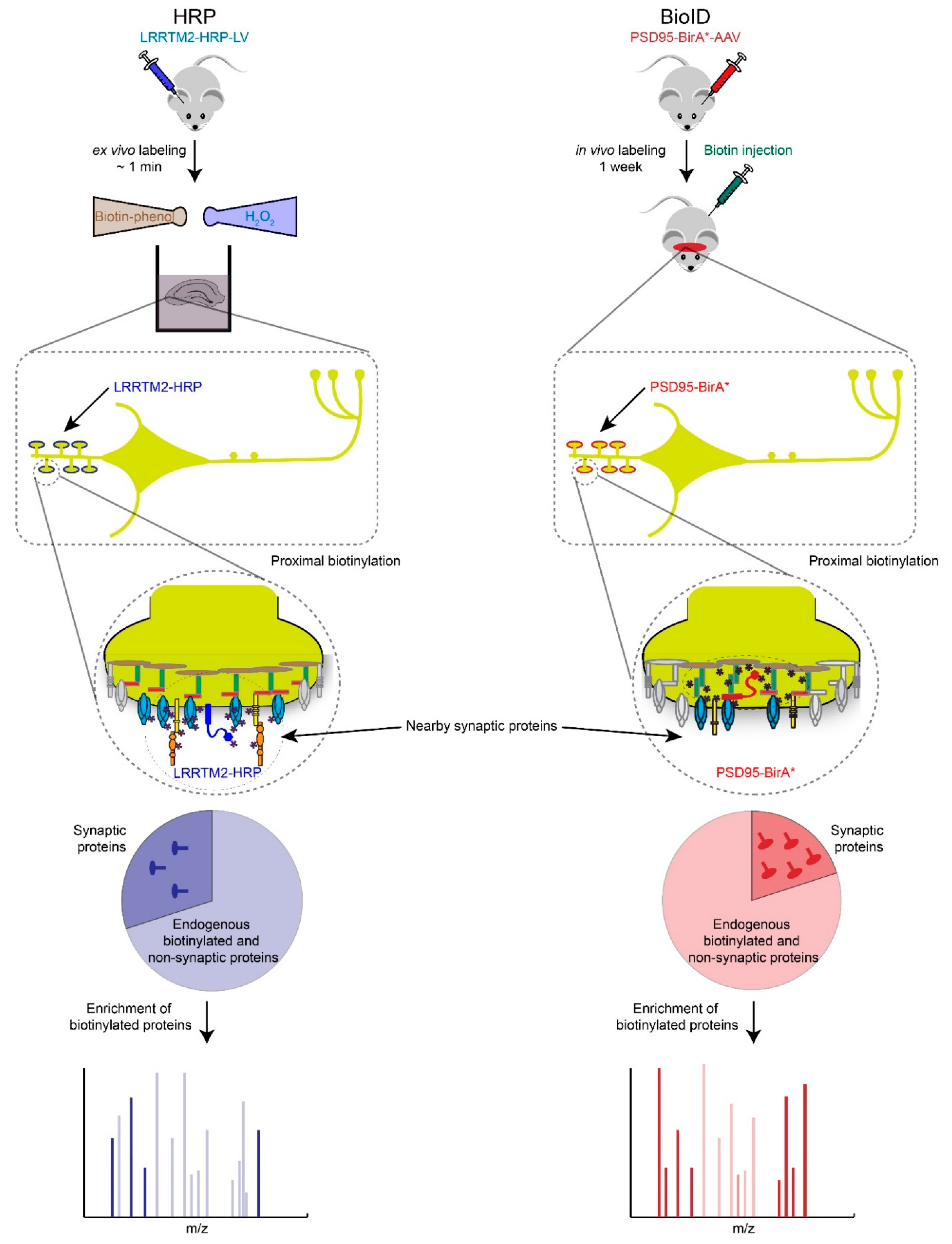 Proteomes 06 00030 g003 Proteomes 06 00030 g003