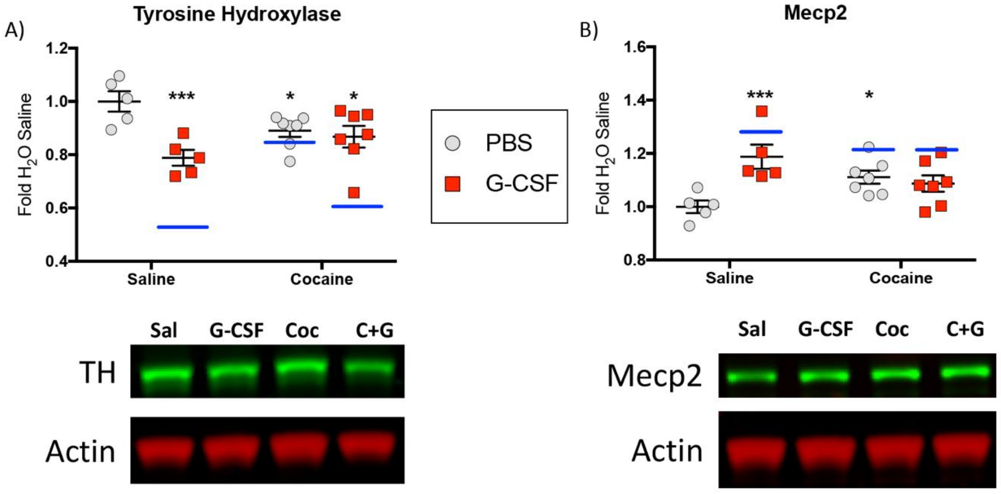 Proteomes 06 00035 g008 Proteomes 06 00035 g008