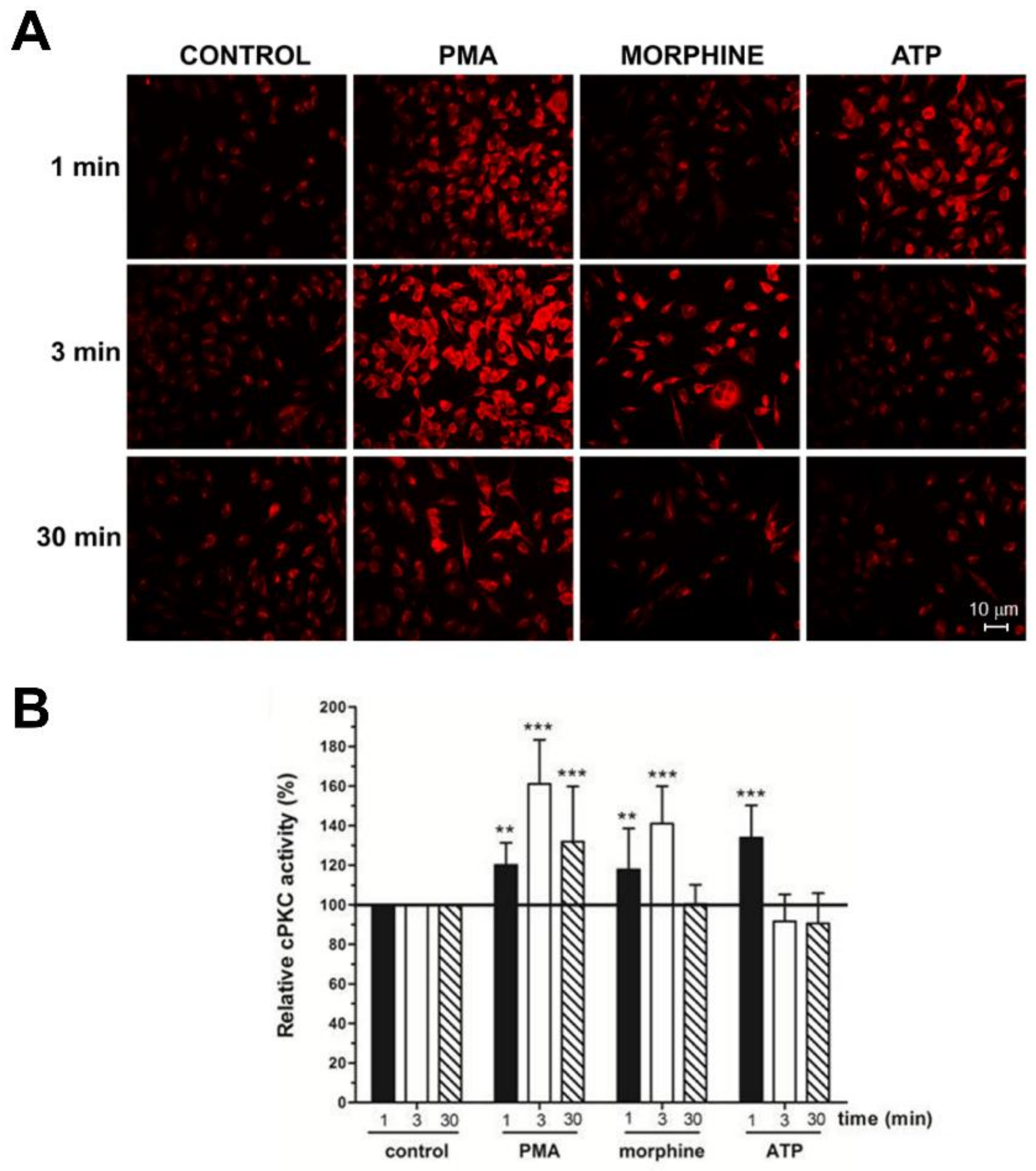 Proteomes 06 00039 g002 Proteomes 06 00039 g002