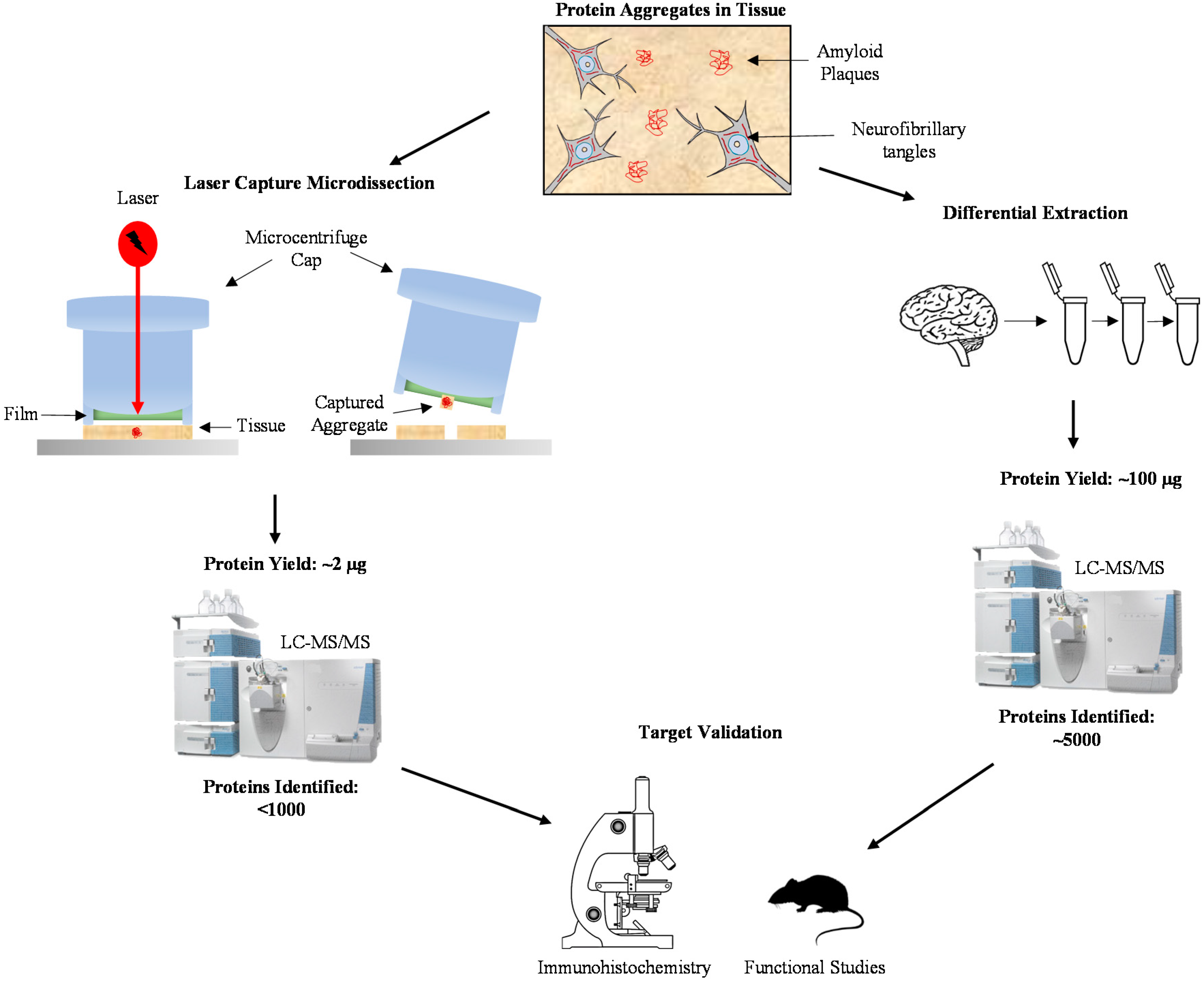 Proteomes 06 00046 g001 Proteomes 06 00046 g001