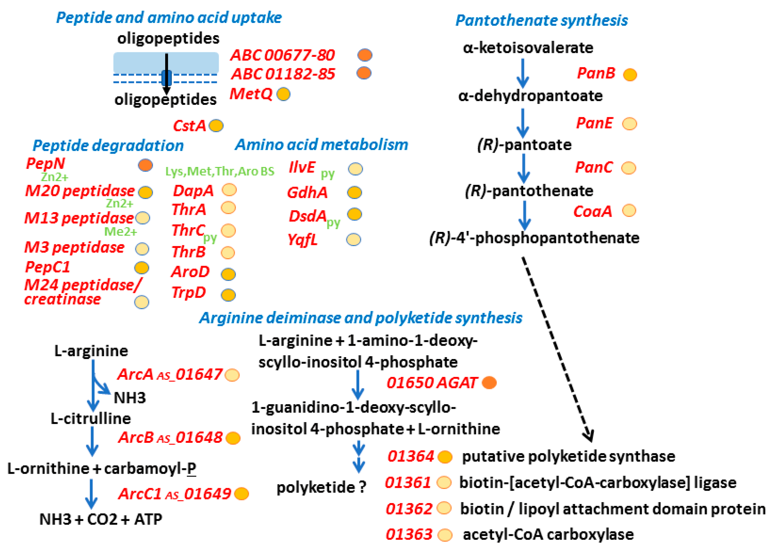 Proteomes 06 00052 g004 Proteomes 06 00052 g004