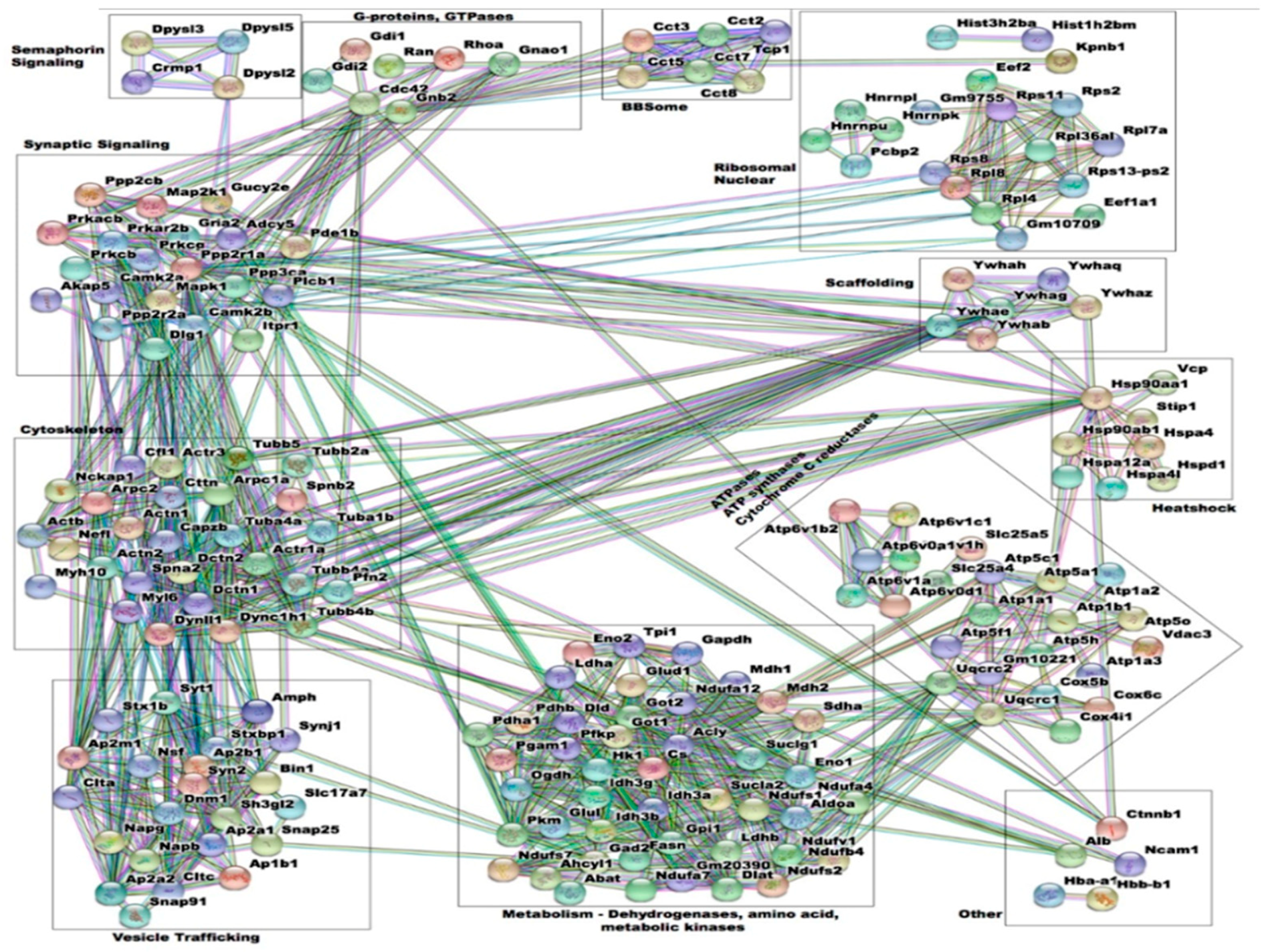Proteomes 06 00053 g004 Proteomes 06 00053 g004