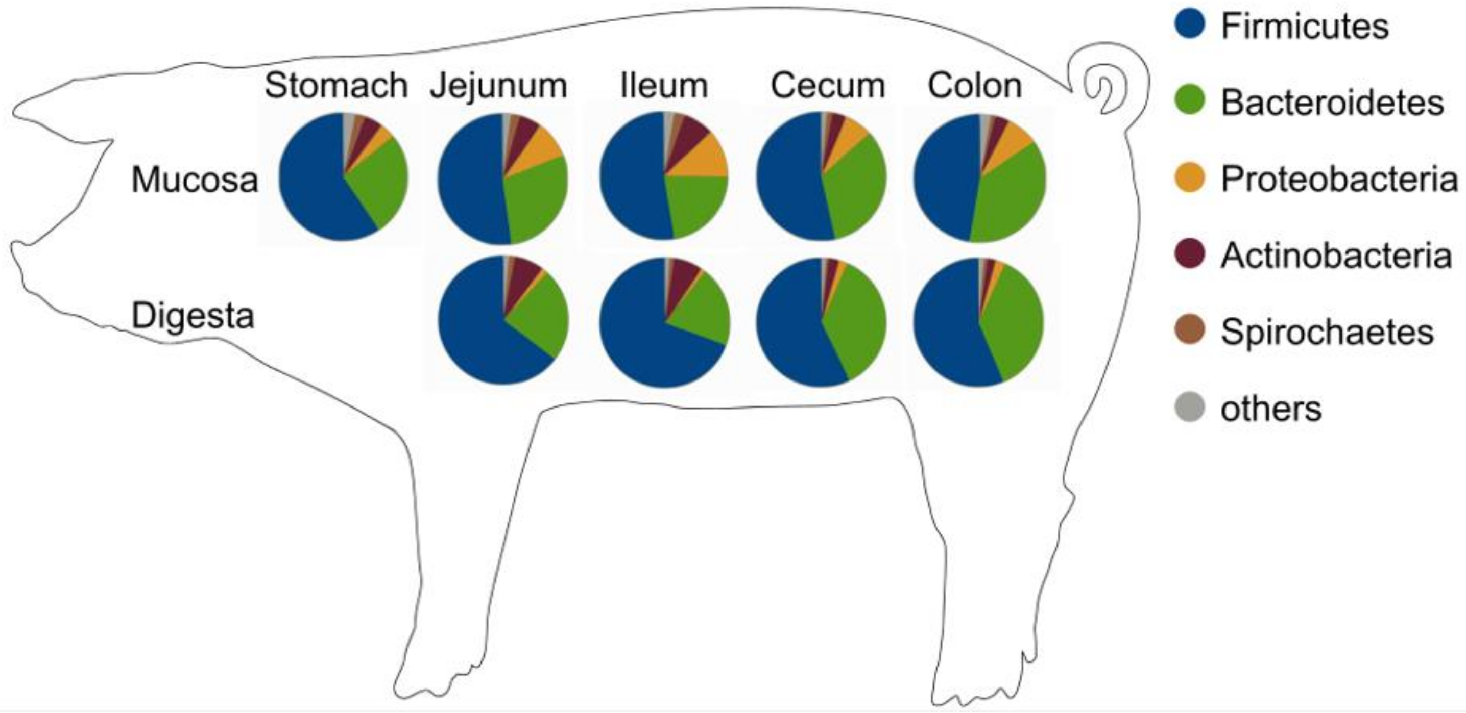 Proteomes 07 00004 g003