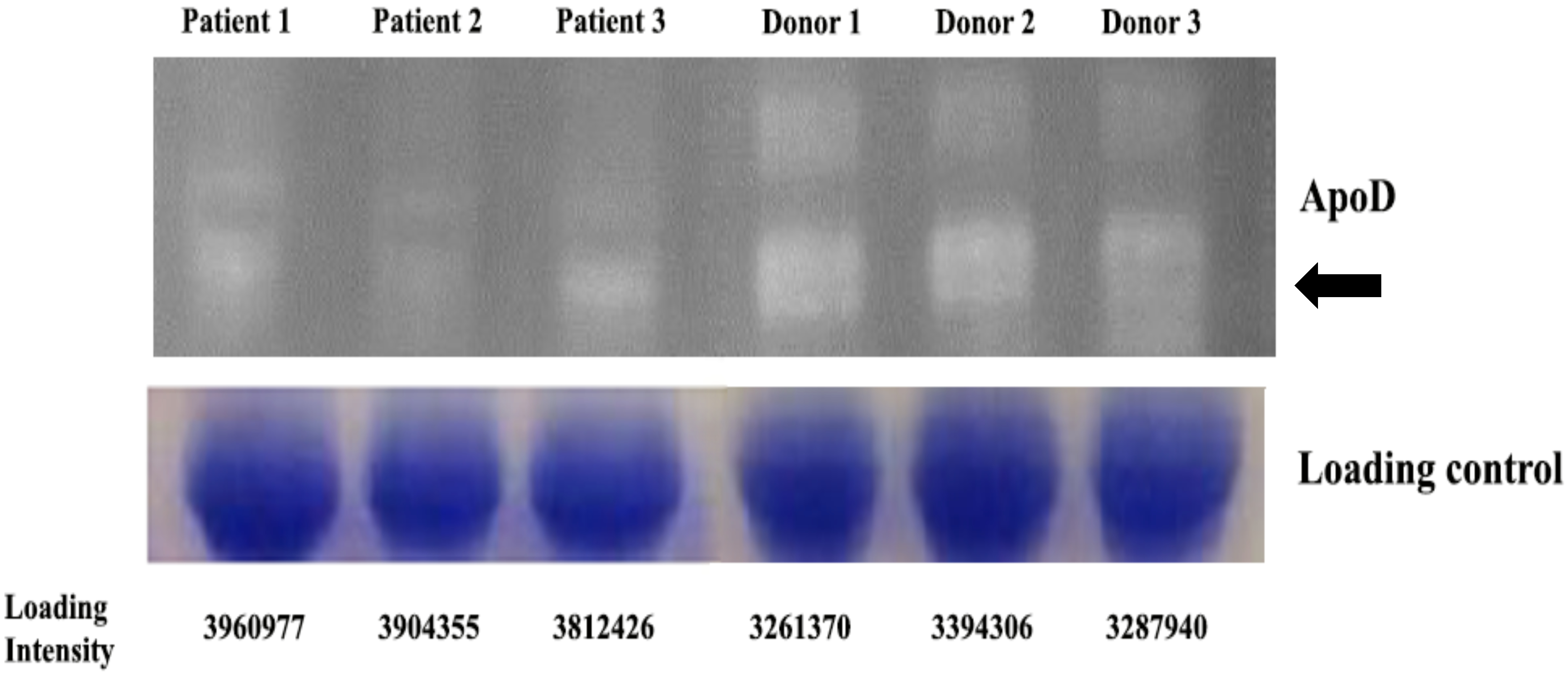 Proteomes 07 00008 g005 Proteomes 07 00008 g005