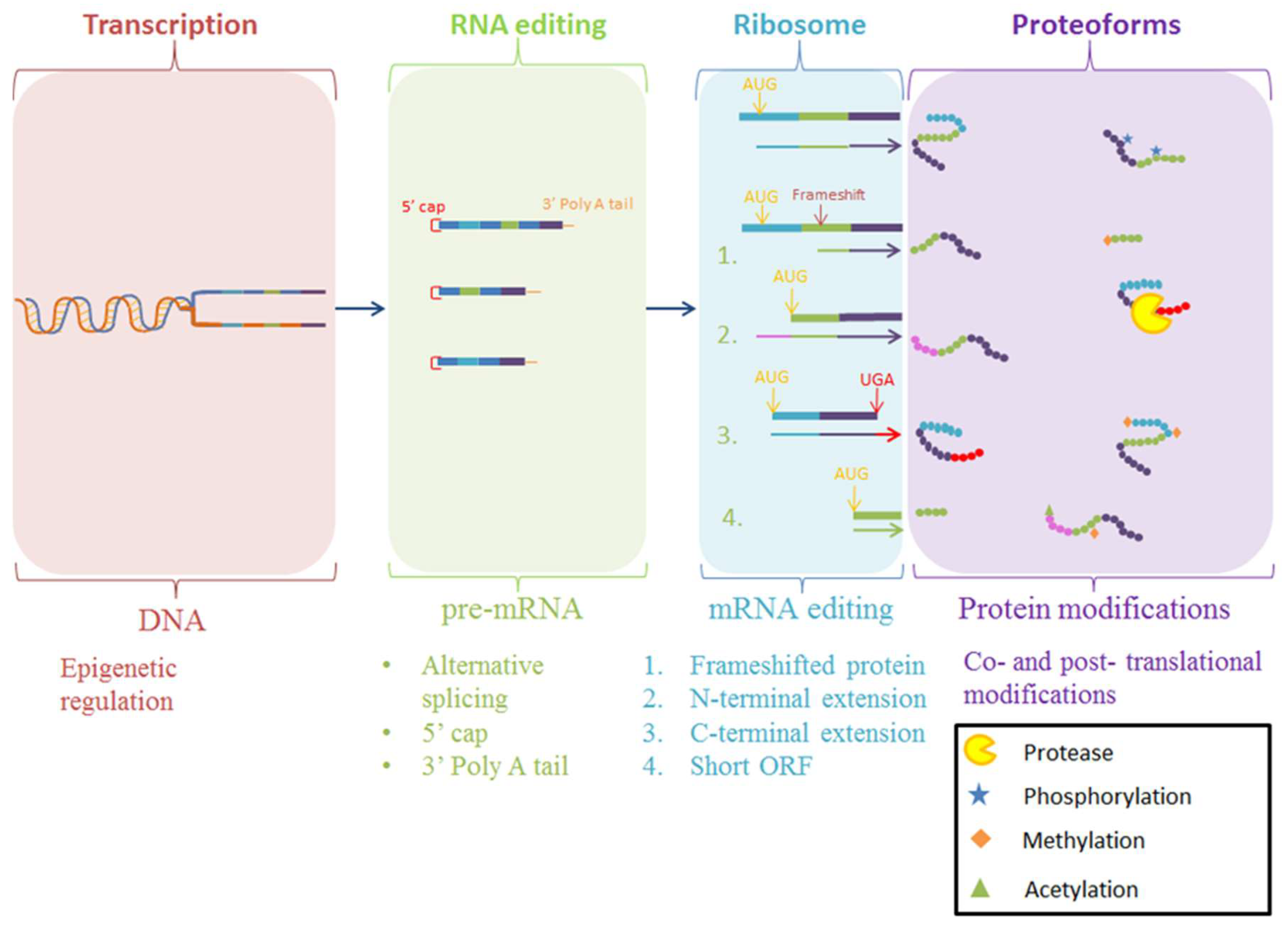 Proteomes 07 00011 g001 Proteomes 07 00011 g001