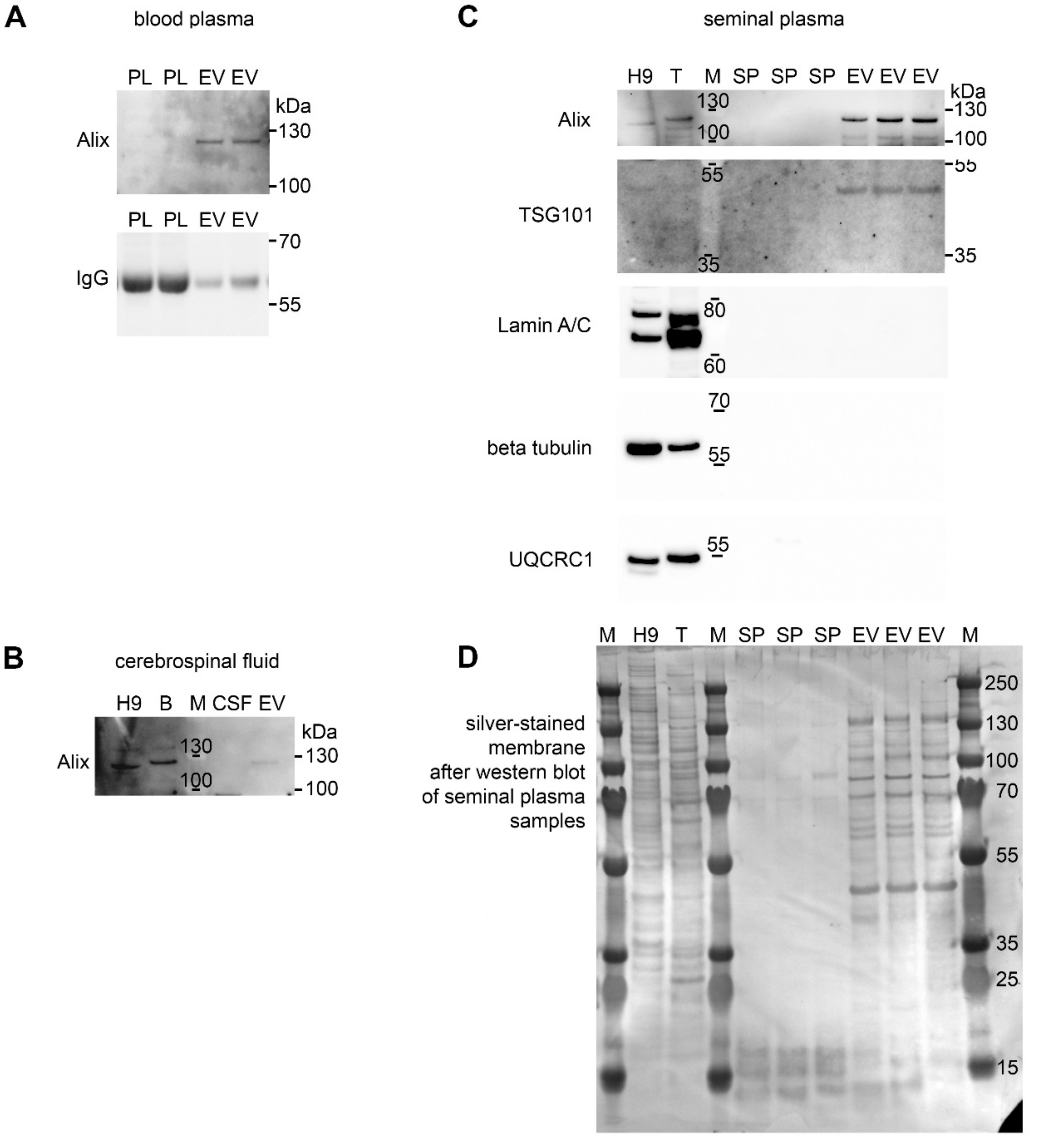 Proteomes 07 00017 g004