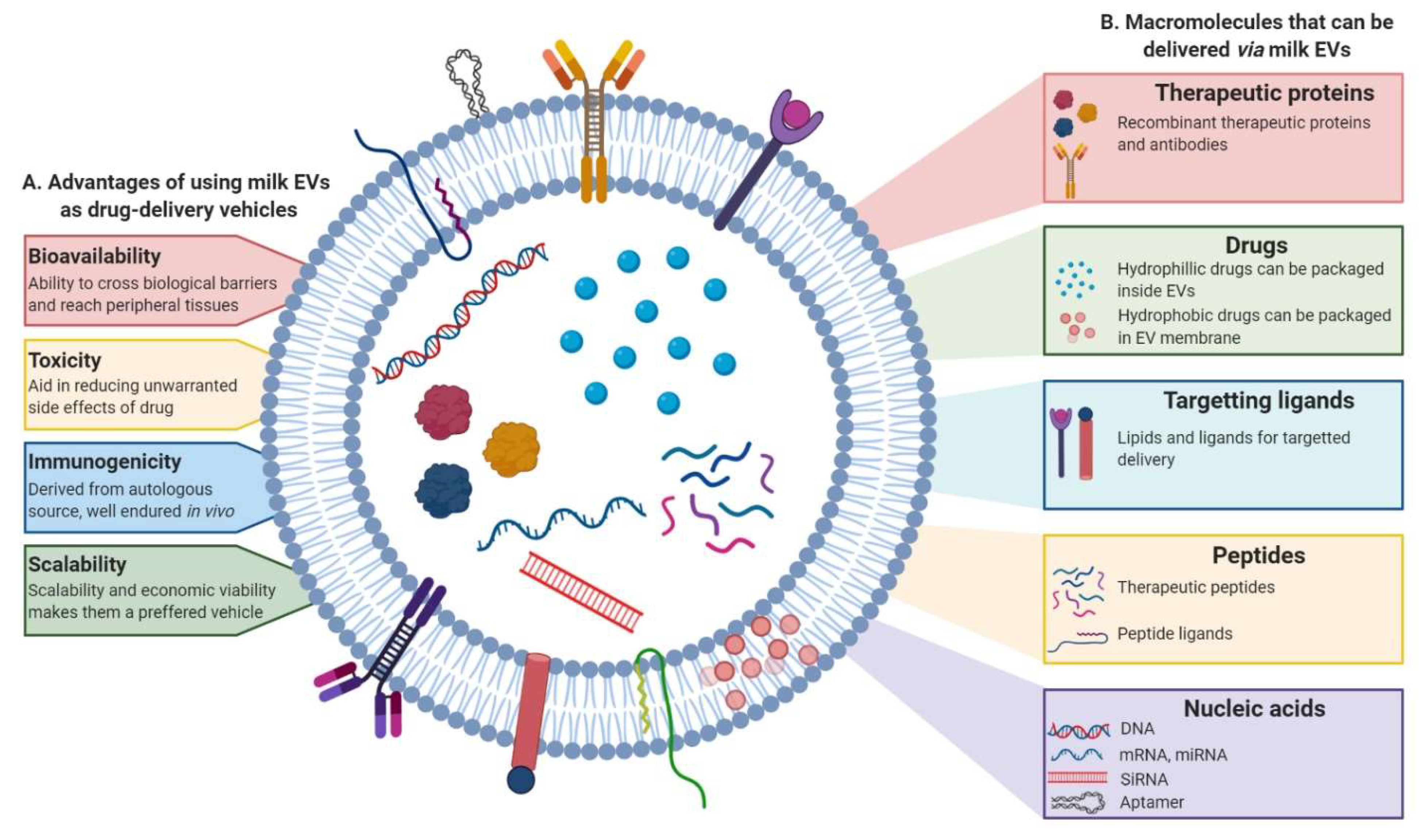 Proteomes 08 00011 g005 Proteomes 08 00011 g005