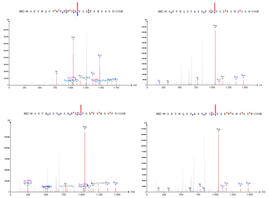 searchgui proteomics searchgui proteomics