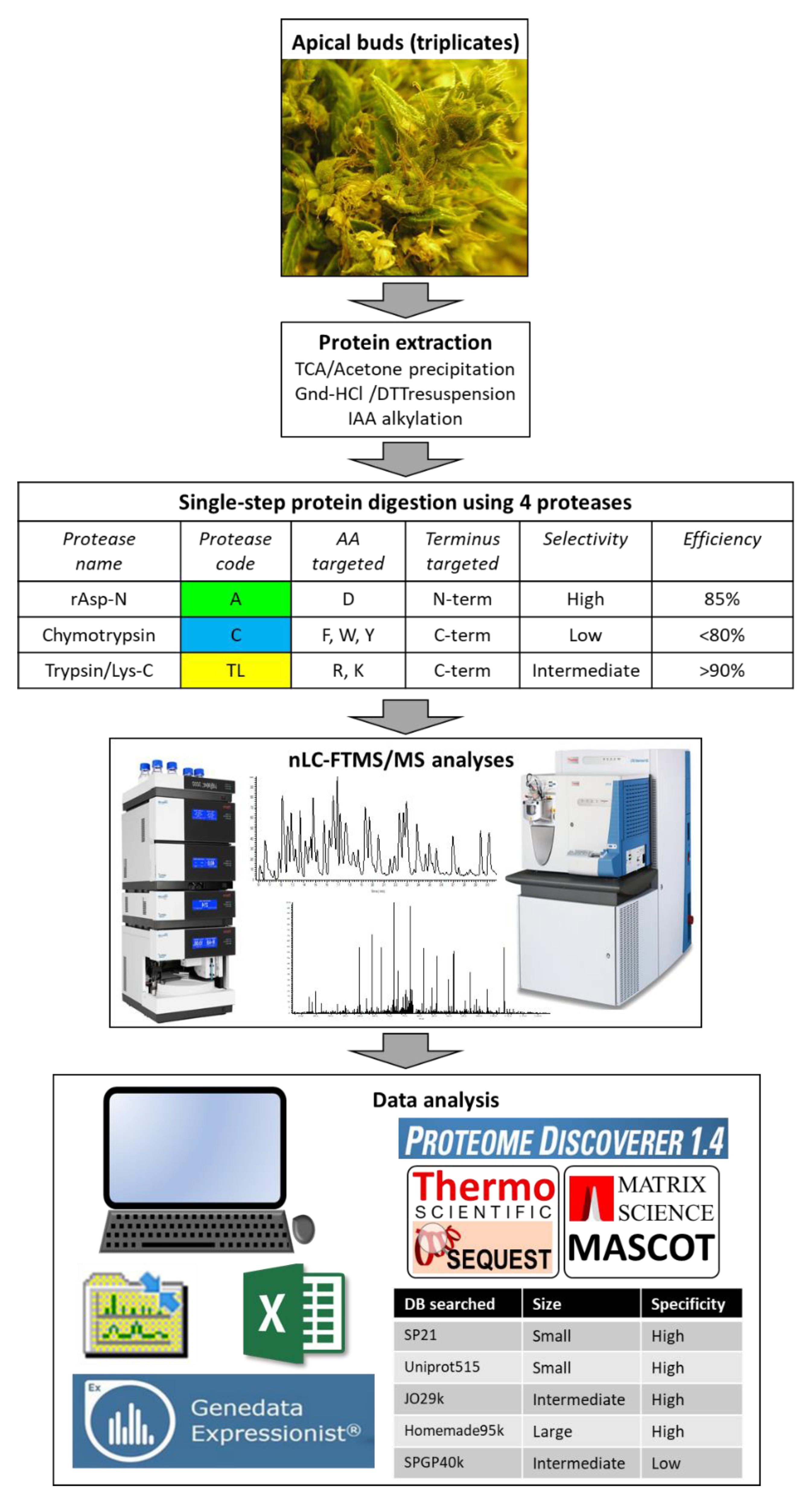 Proteomes 08 00013 g001 Proteomes 08 00013 g001
