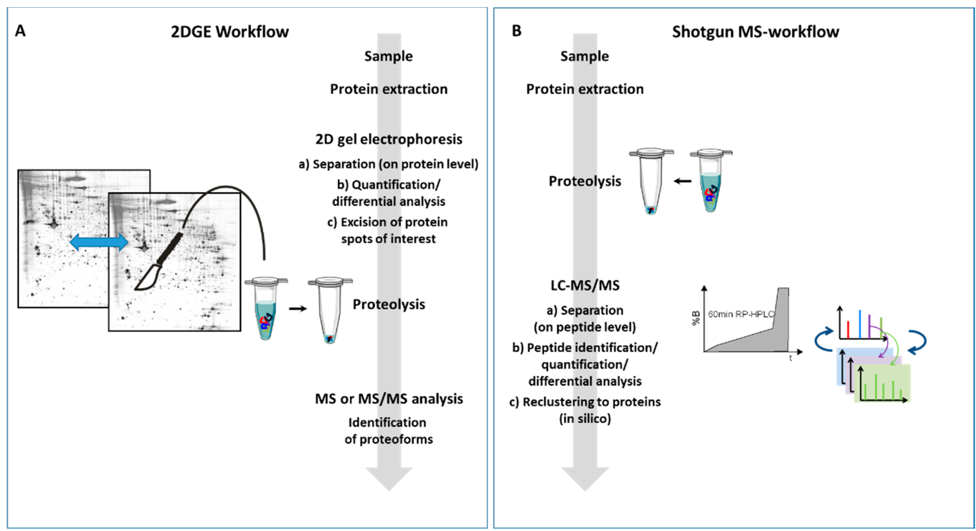Proteomes 08 00017 g001