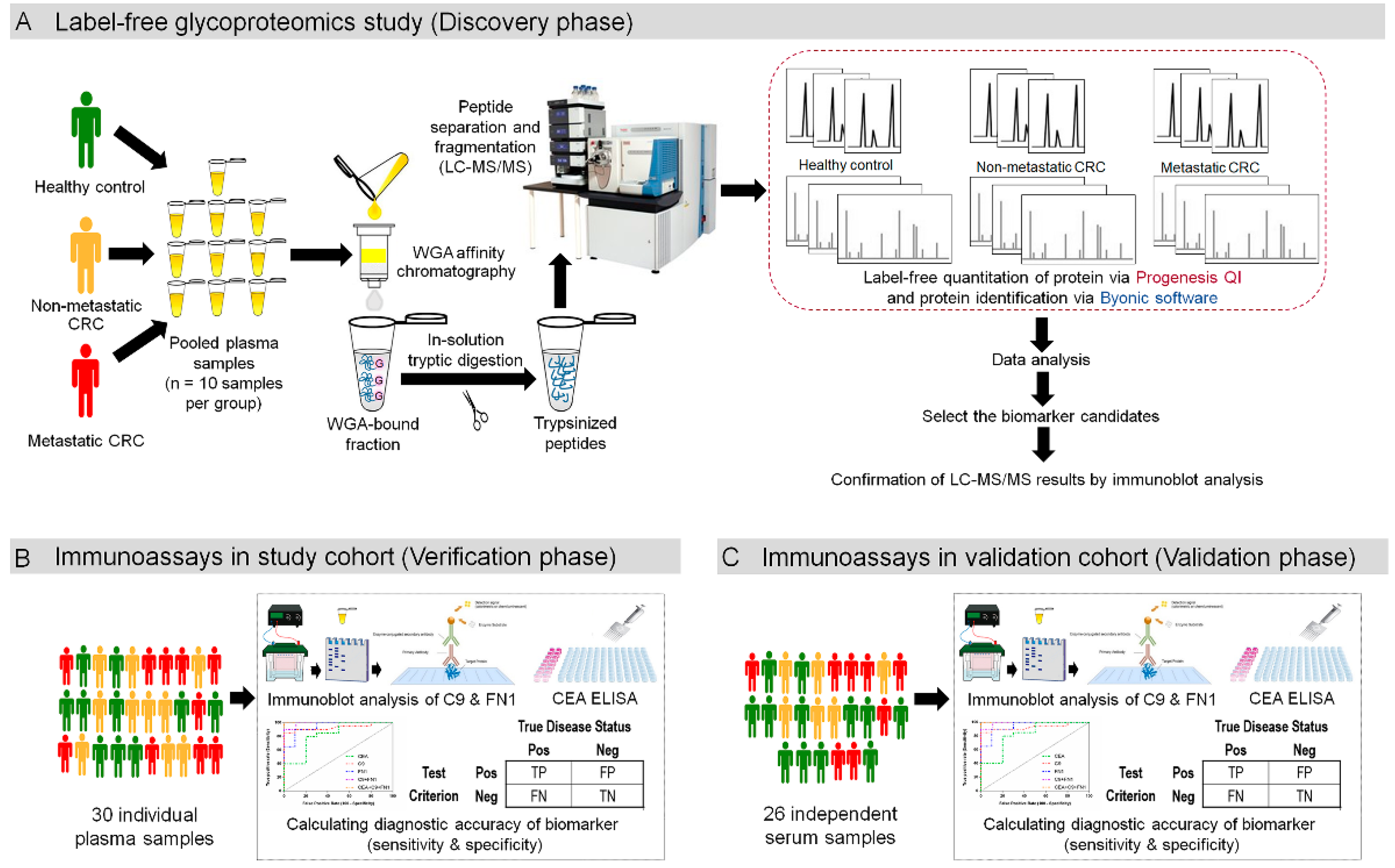 Proteomes 08 00026 g001